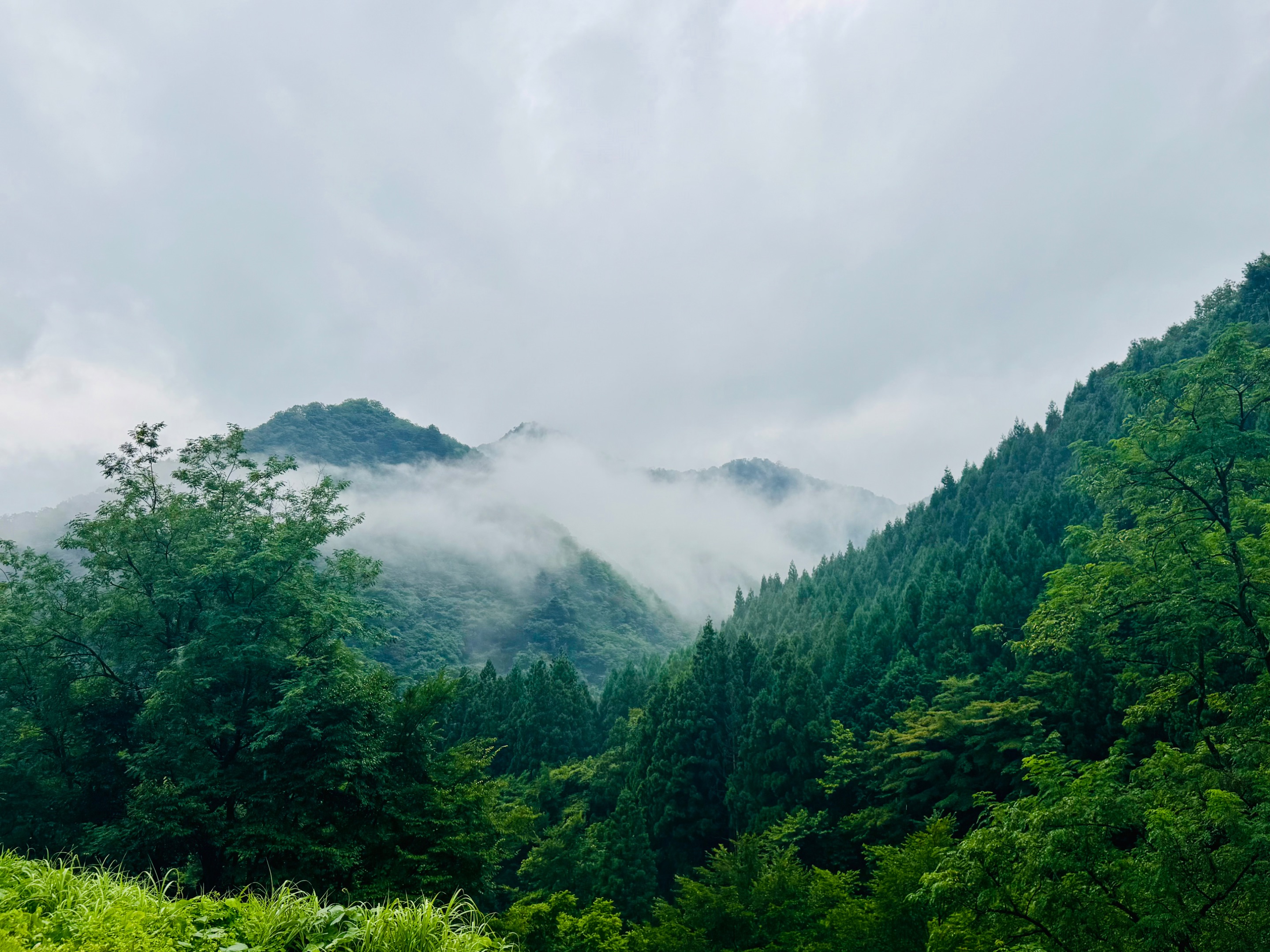 Clouds close to the mountains