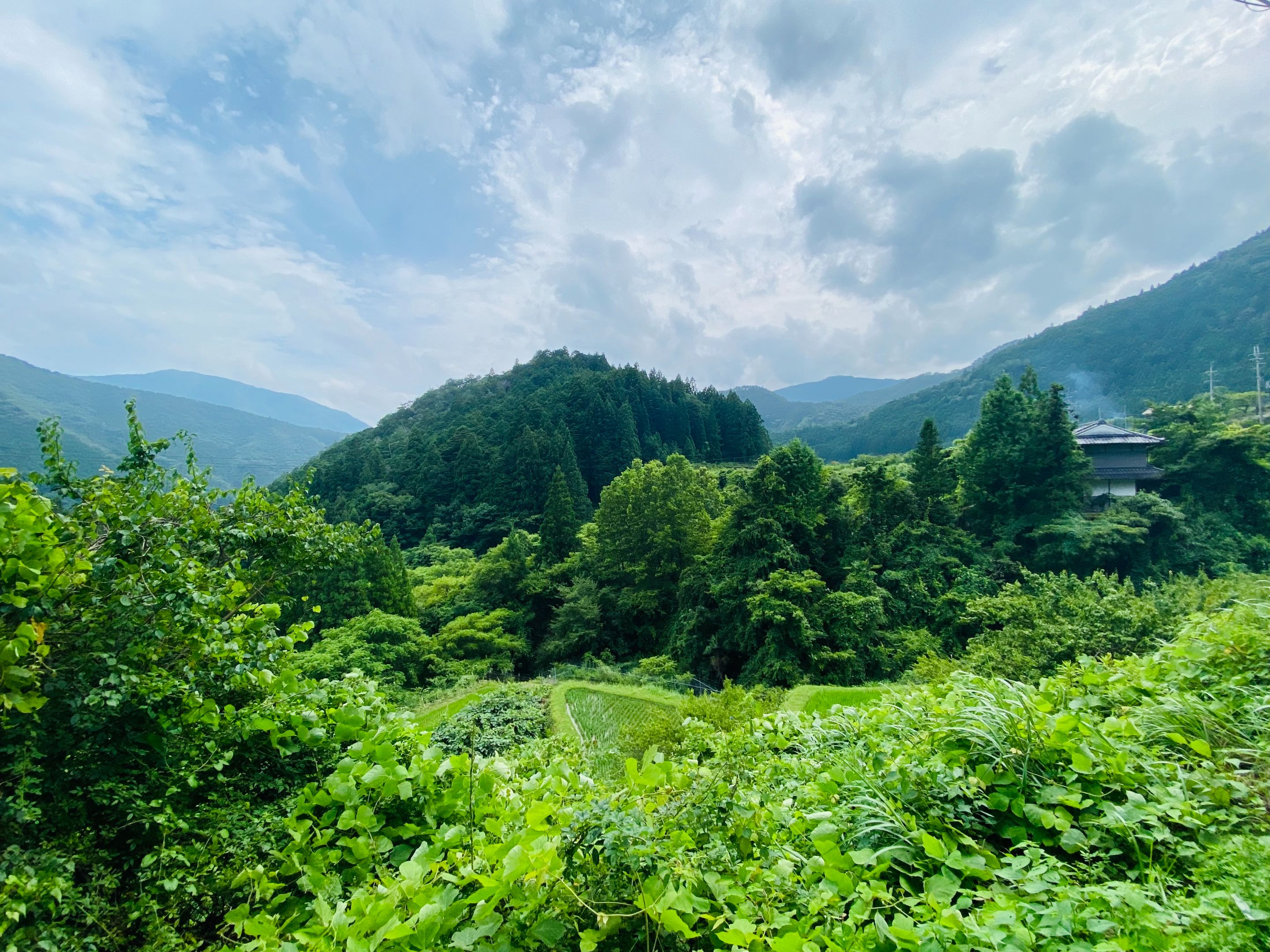 And our destination seems to be this super green mountain