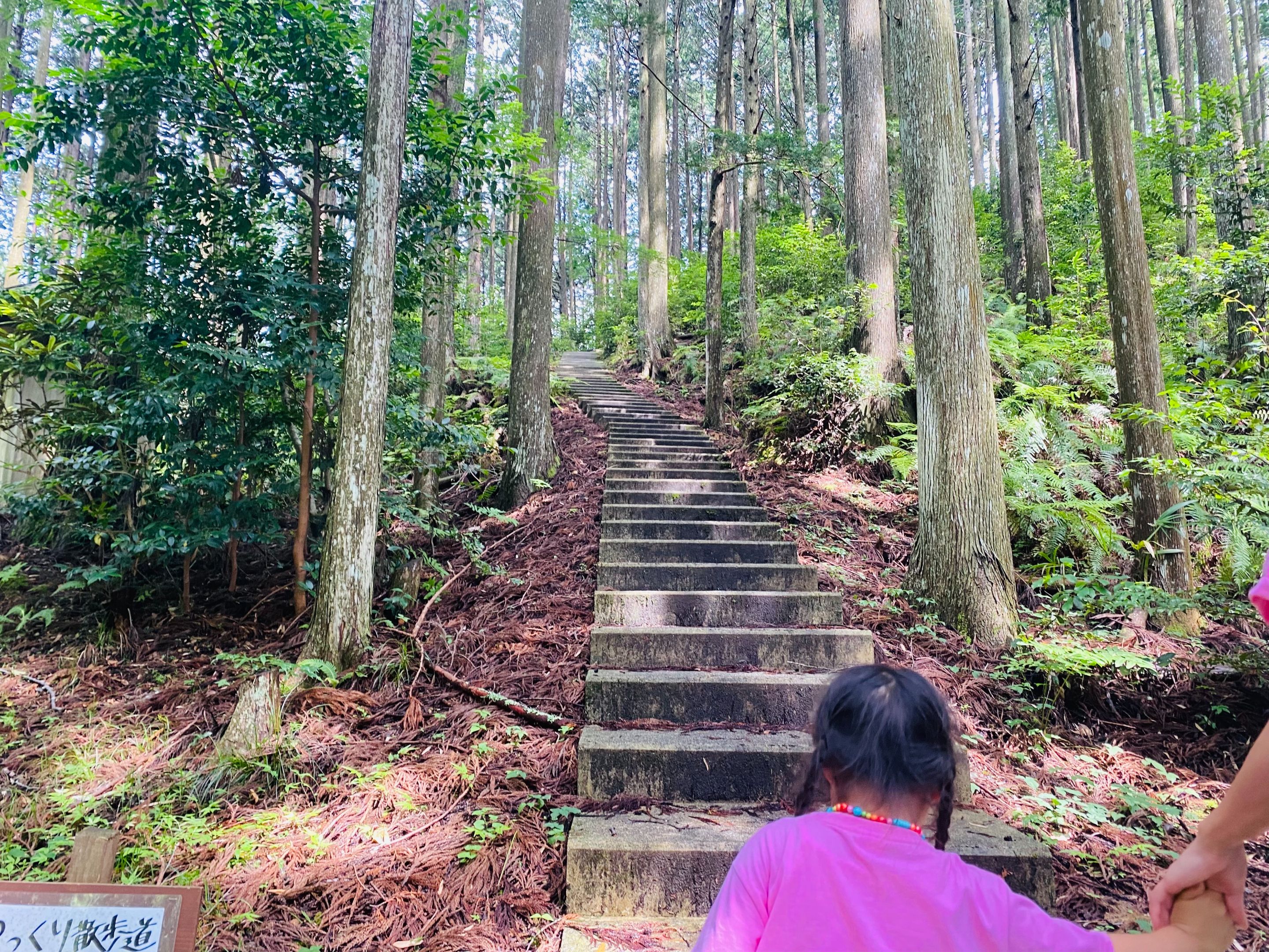 More stairs...aren't we there yet?