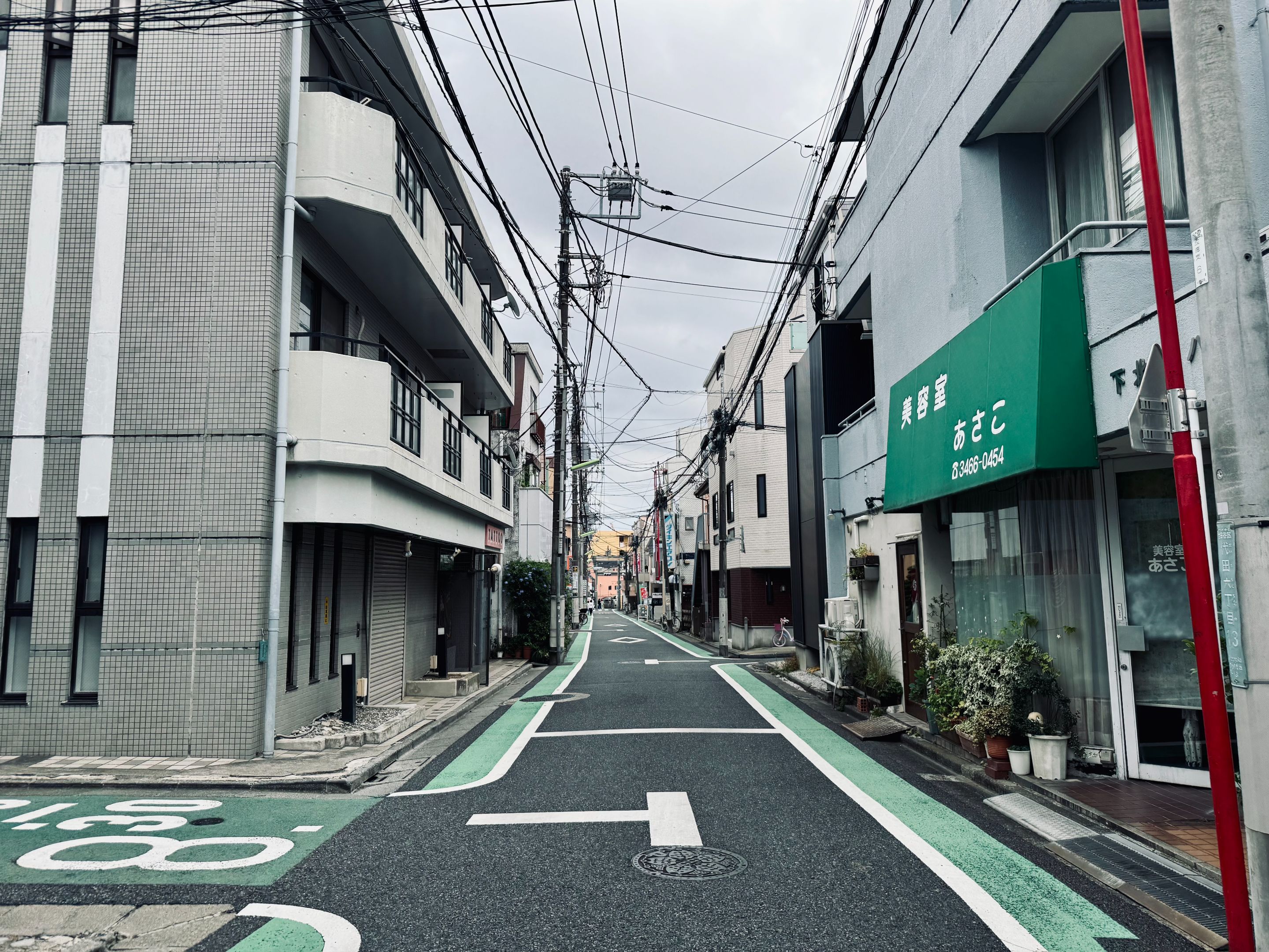 IMG_7445.jpeg