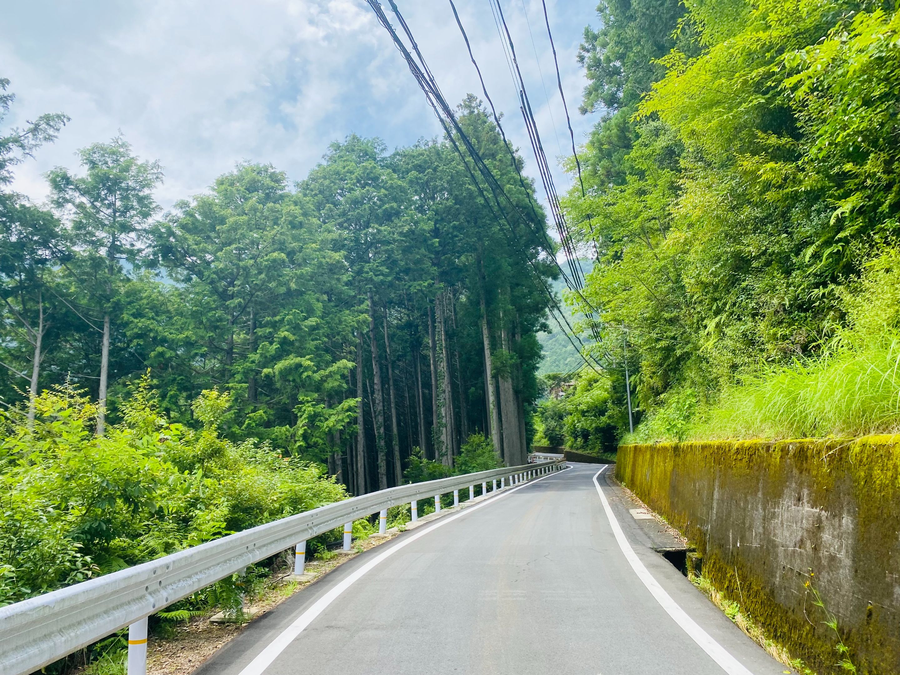 Road to the village