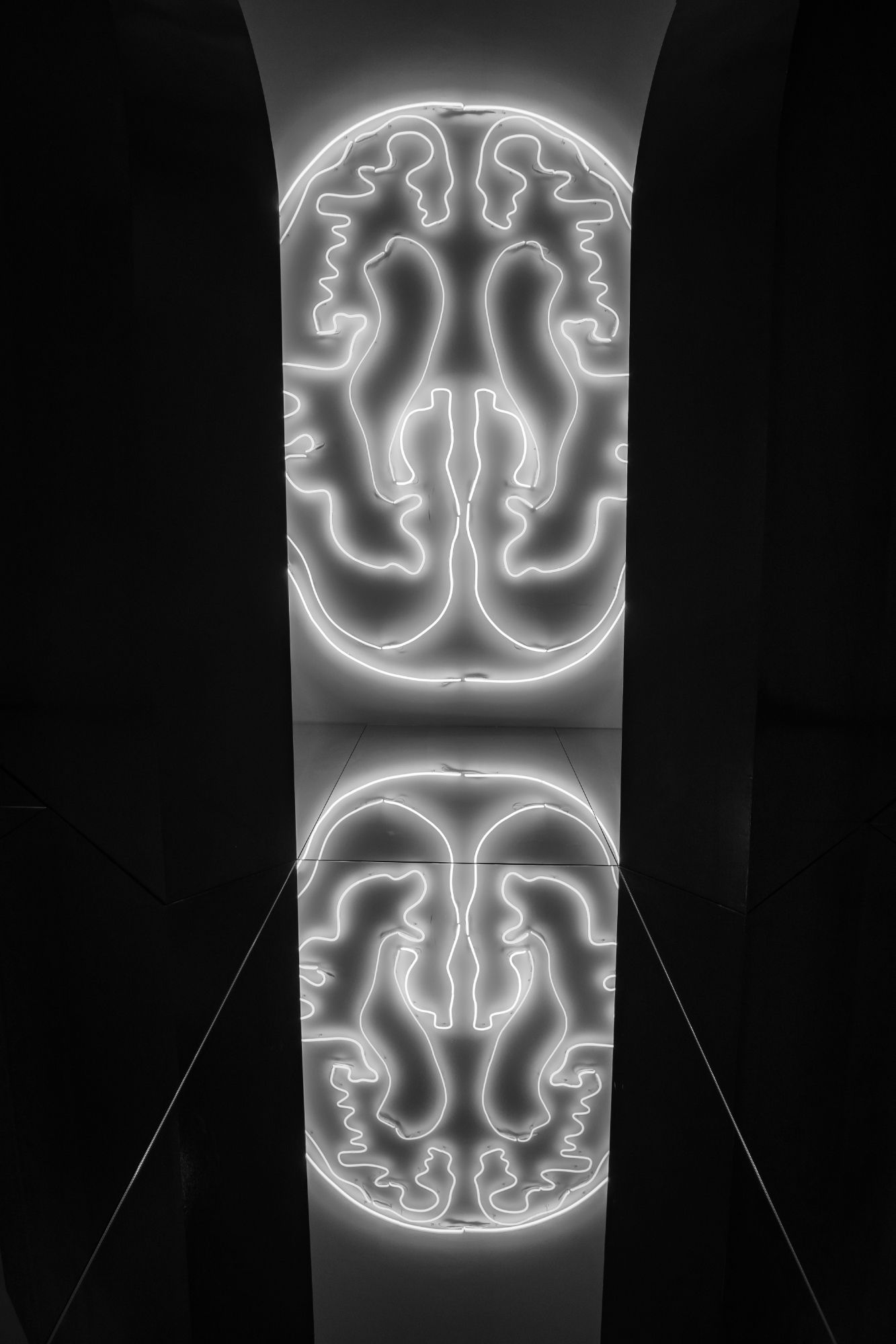 DSC07951-1.jpg