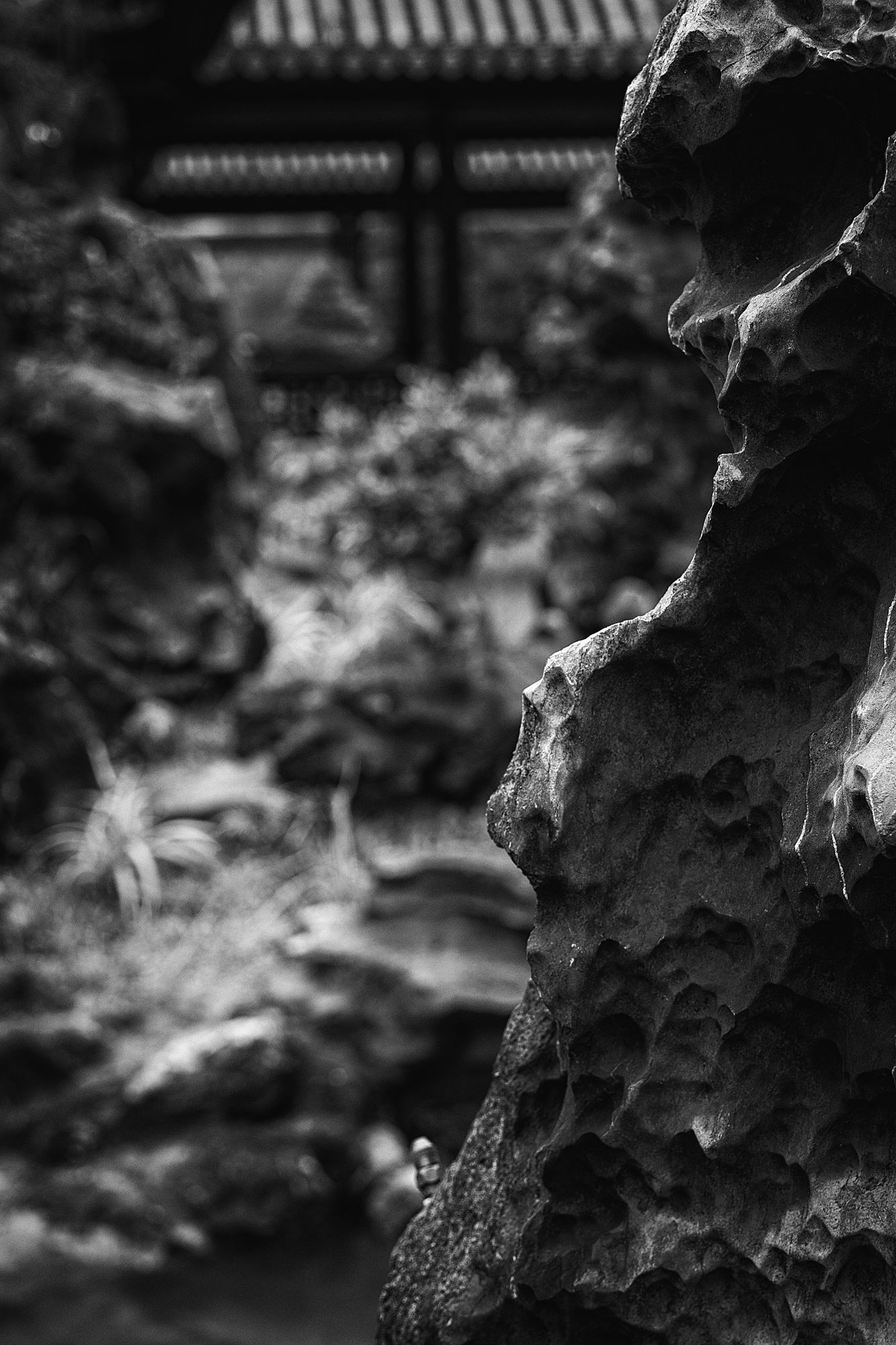 DSC08524-1.jpg