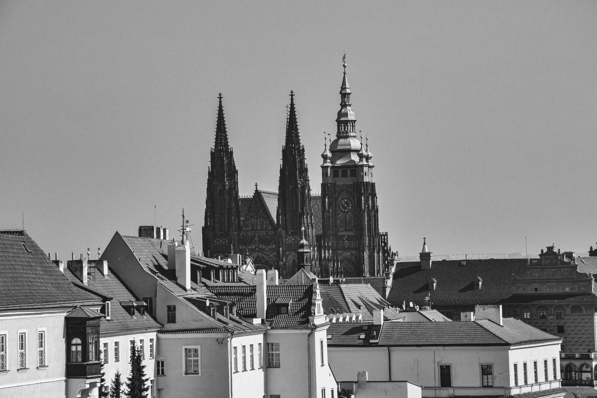 DSC_0135.jpg