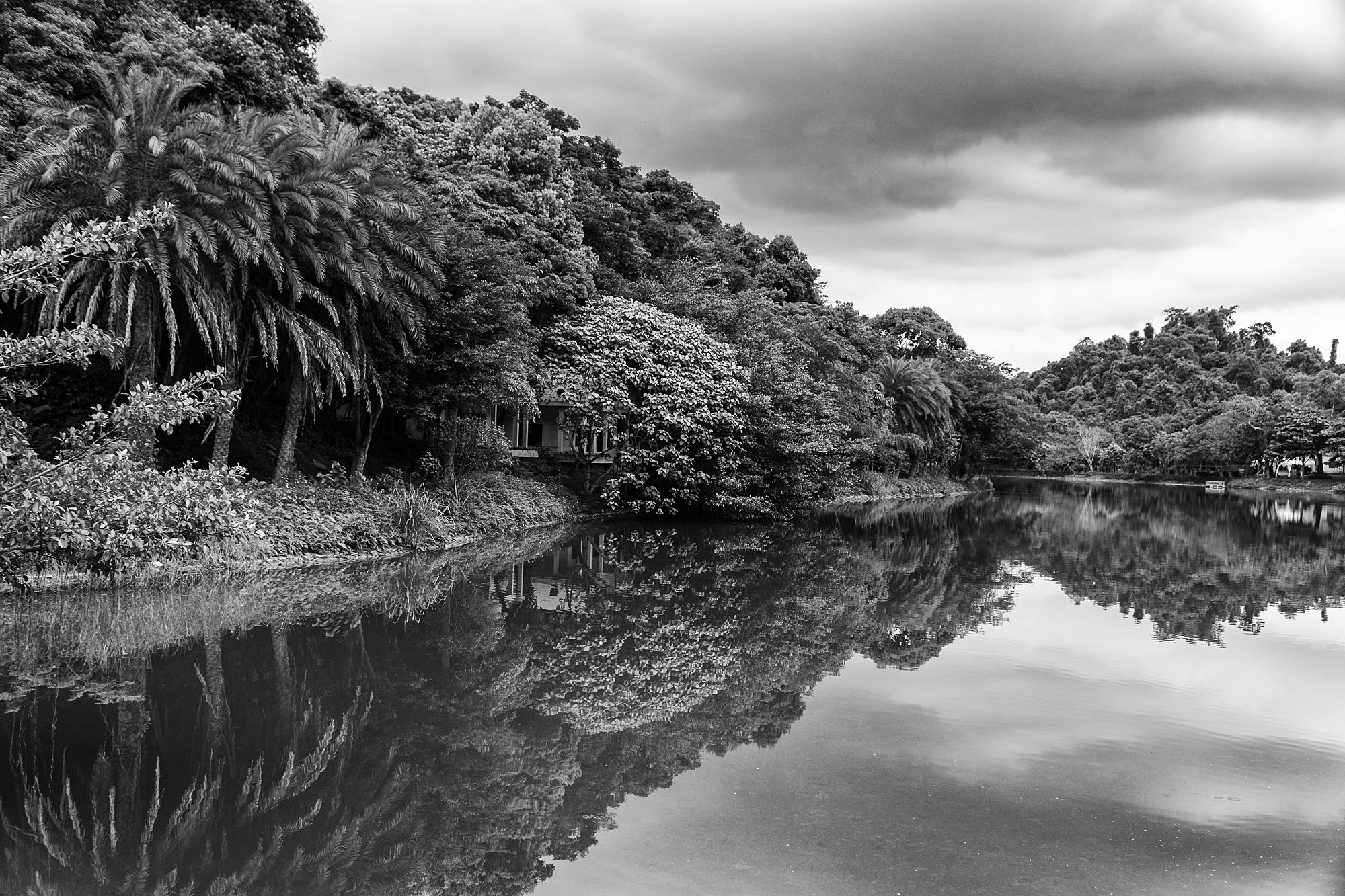DSC09810-1.jpg