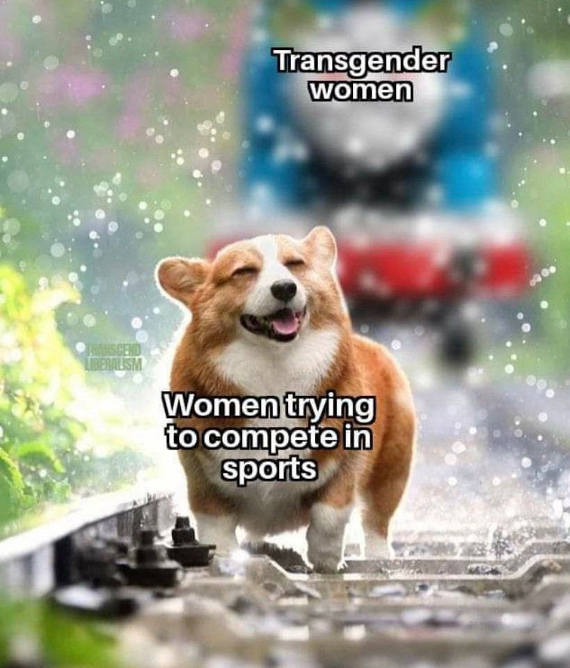 FT6cDCmWUAARO1M.jpeg