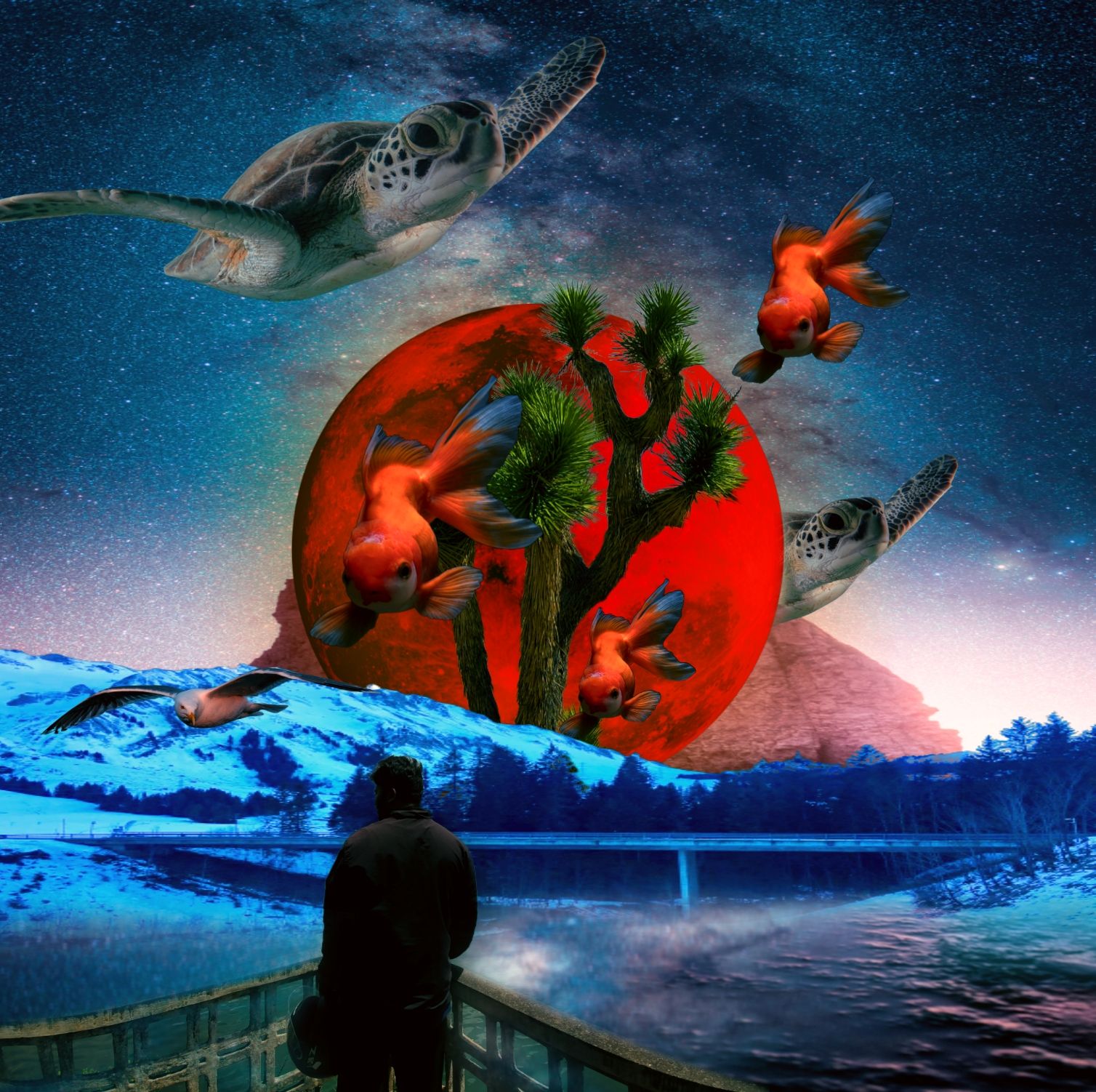 Picsart_23-01-21_22-09-19-930.jpg