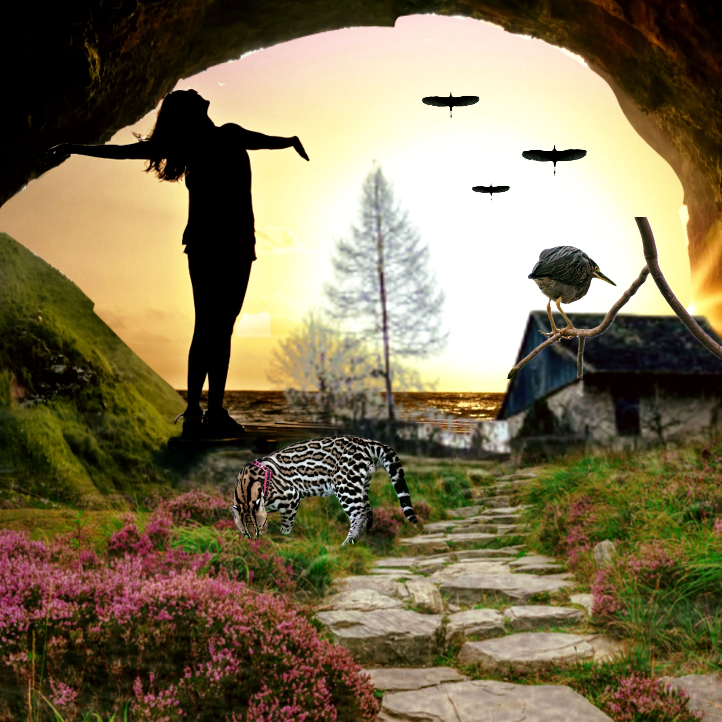 Picsart_22-04-10_12-03-49-793.png