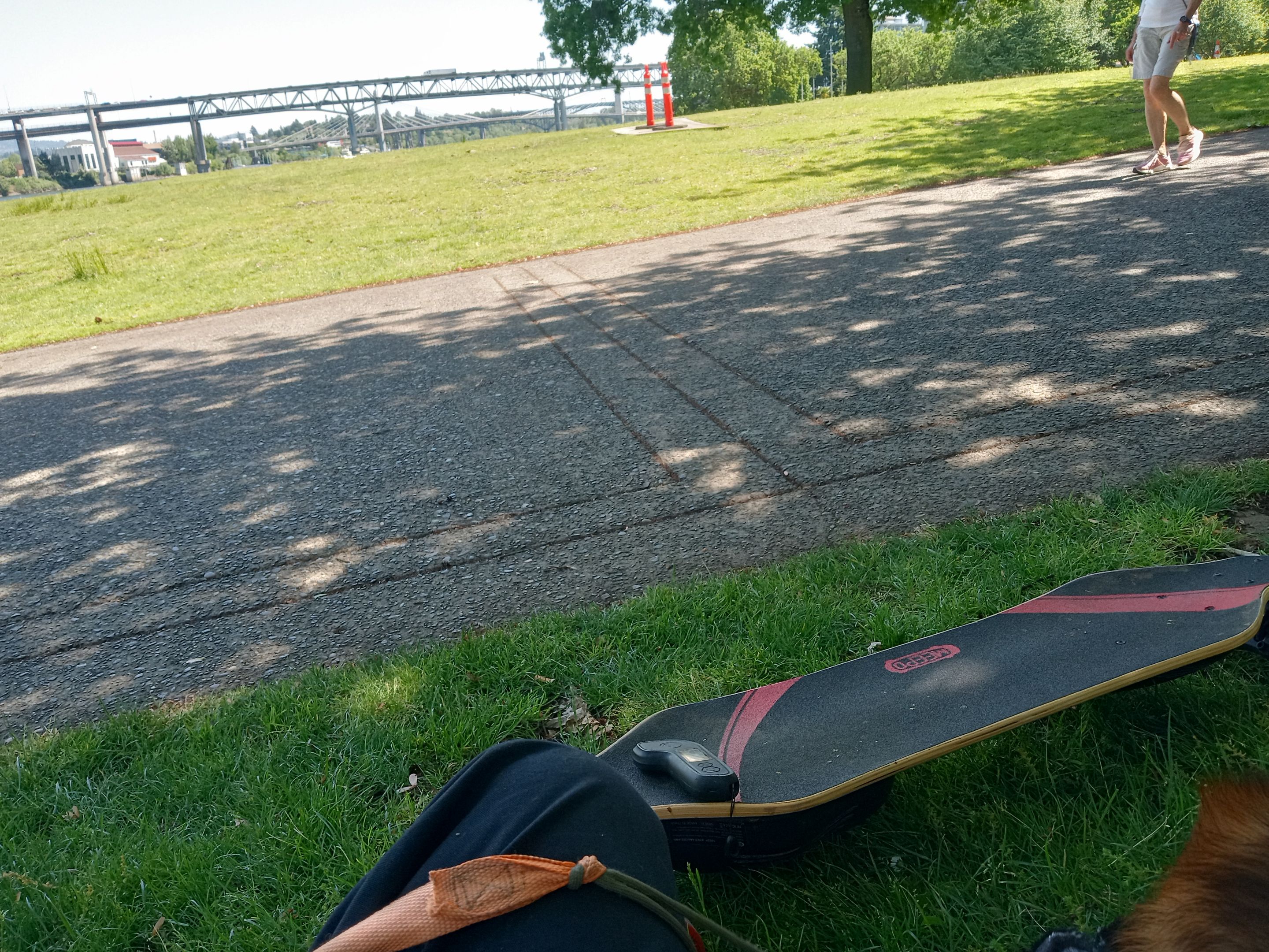 IMG_20230604_143033557_HDR.jpg