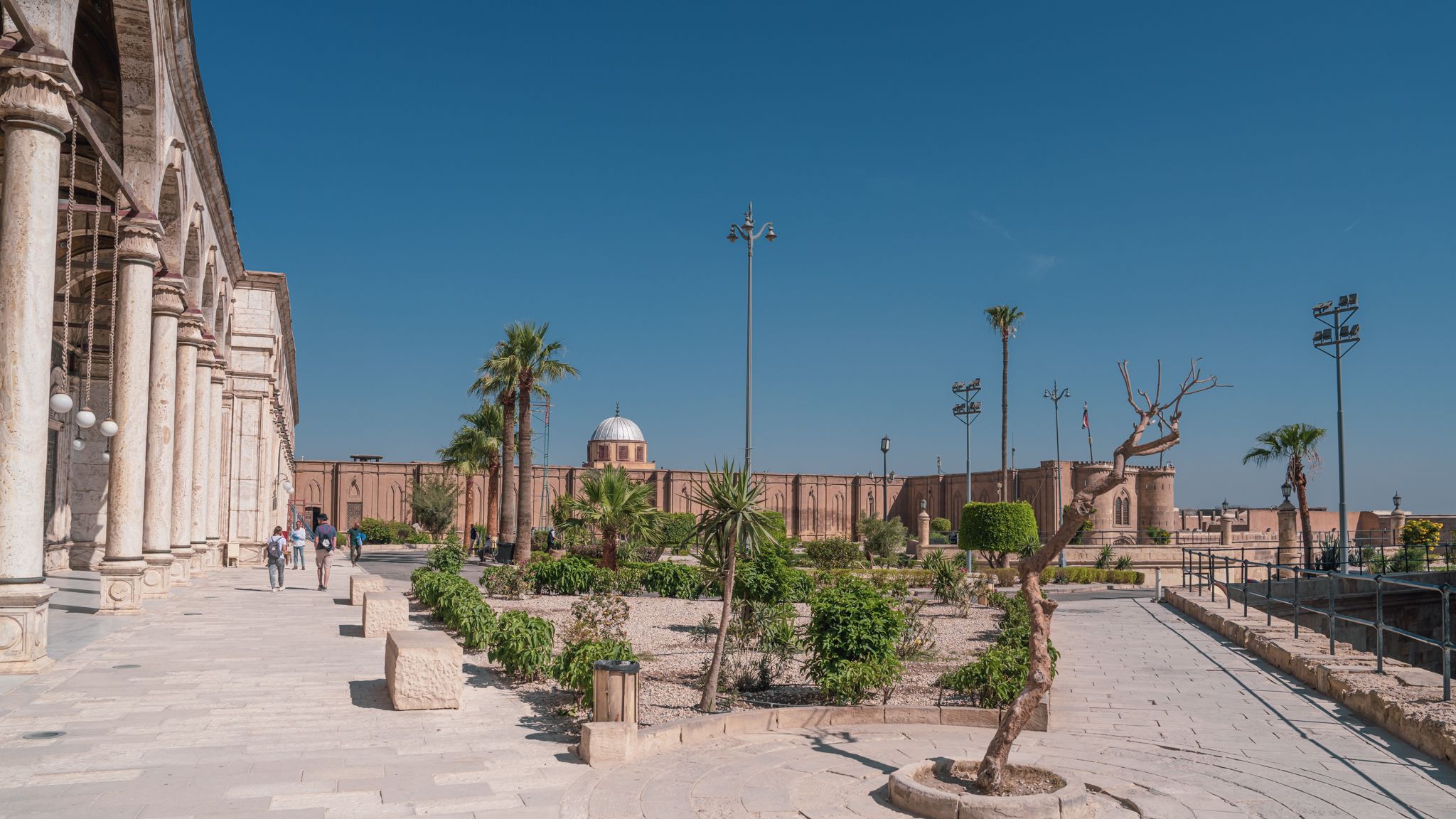 AR502576.jpg