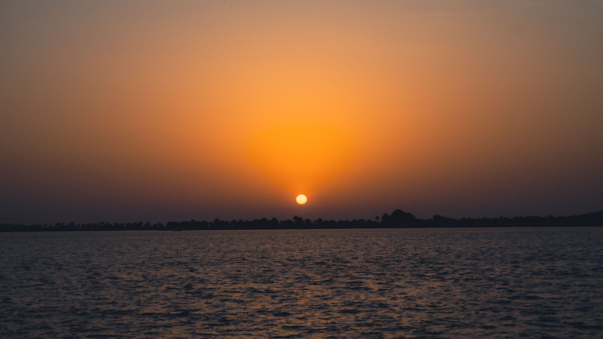 AR504228.jpg