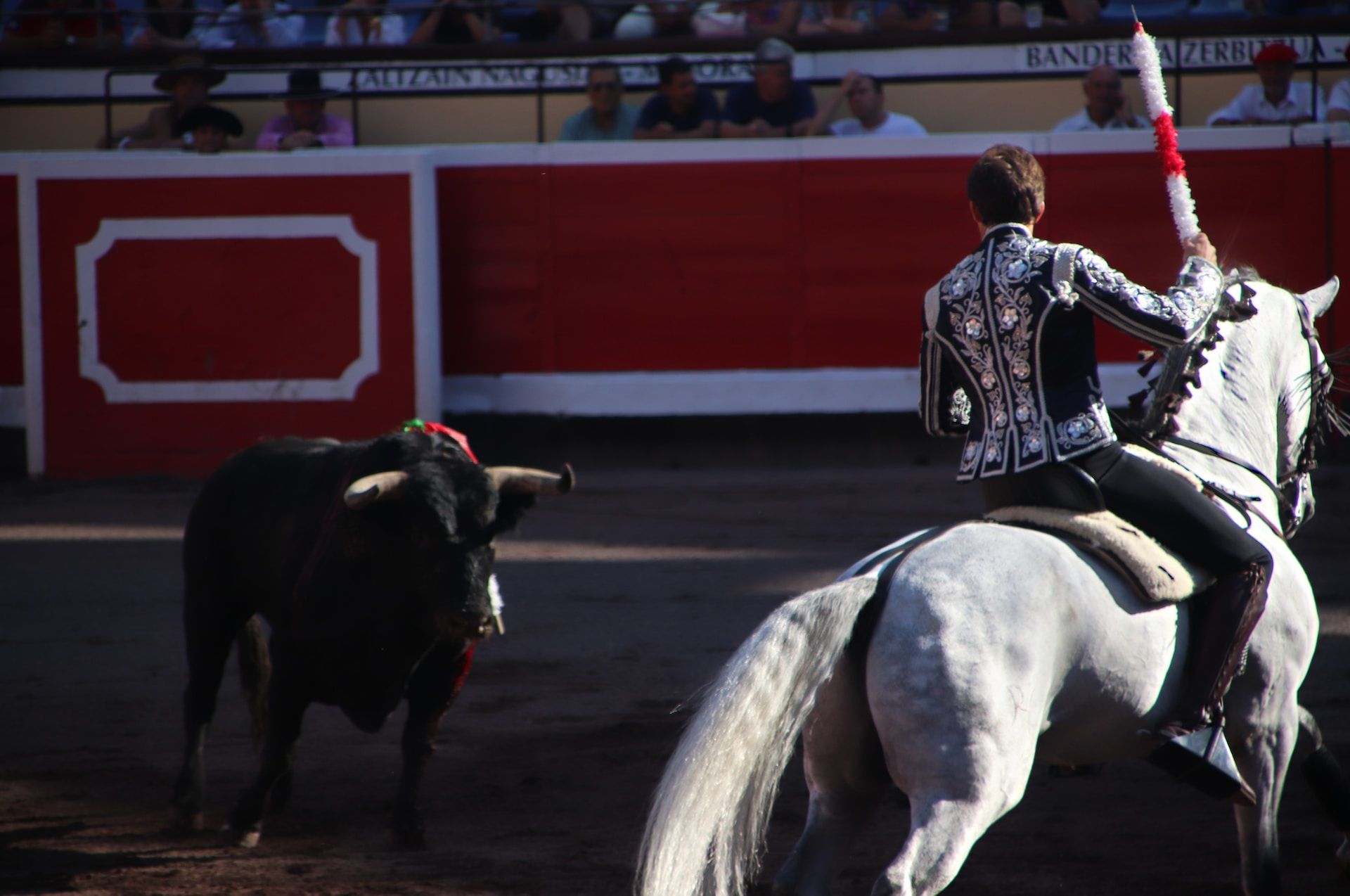 diego-gomez-tejedor-NPHM_wX0Fq8-unsplash (1).jpg