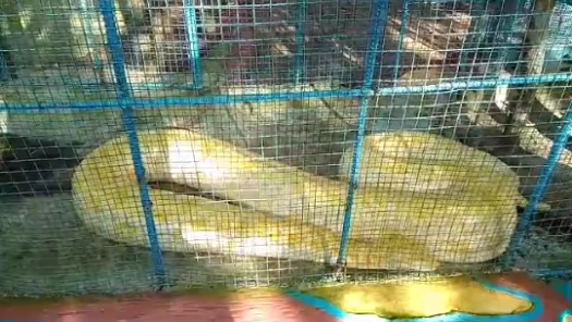 Screenshot_20250630-213144_1.png