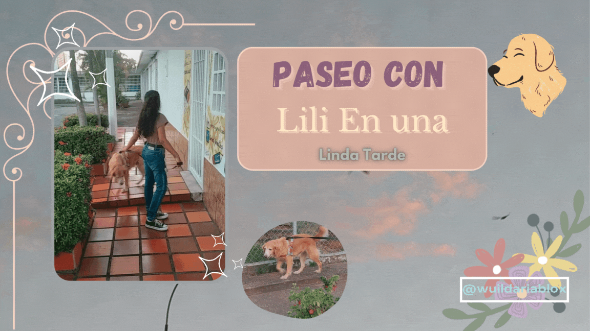 Walk with Lili on a nice afternoon (1).gif