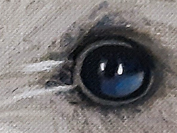 detail2.jpg