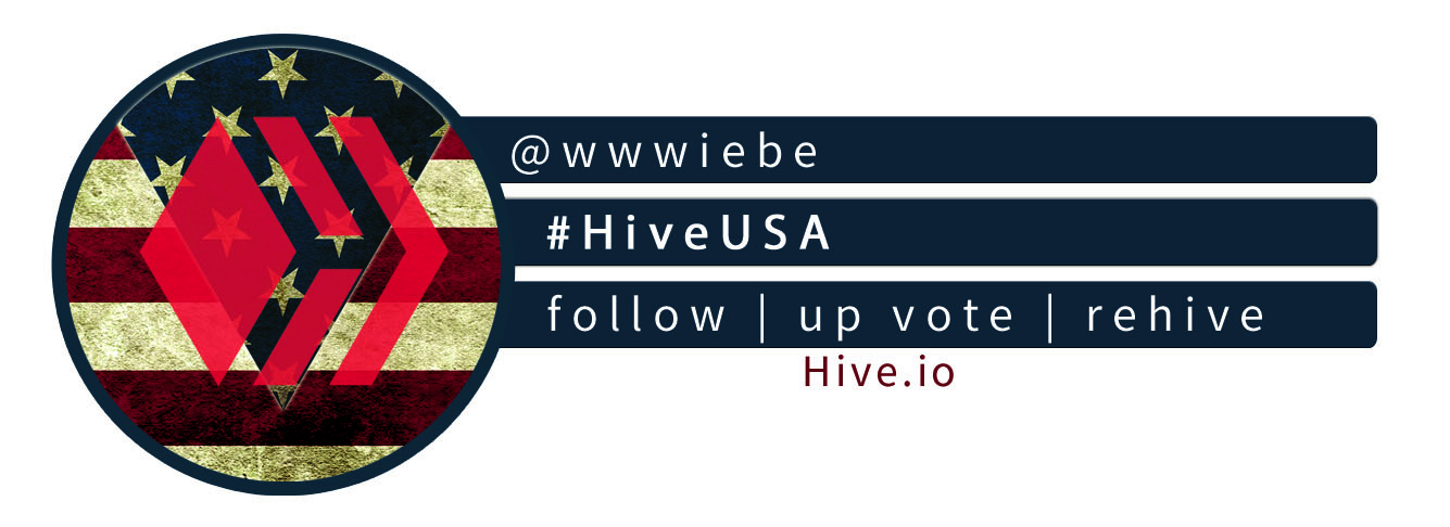 TEAMUSAhivewww.jpg