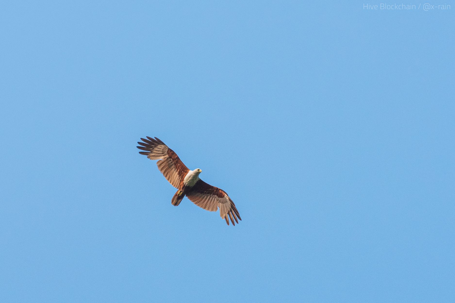 DSC_1660.JPG