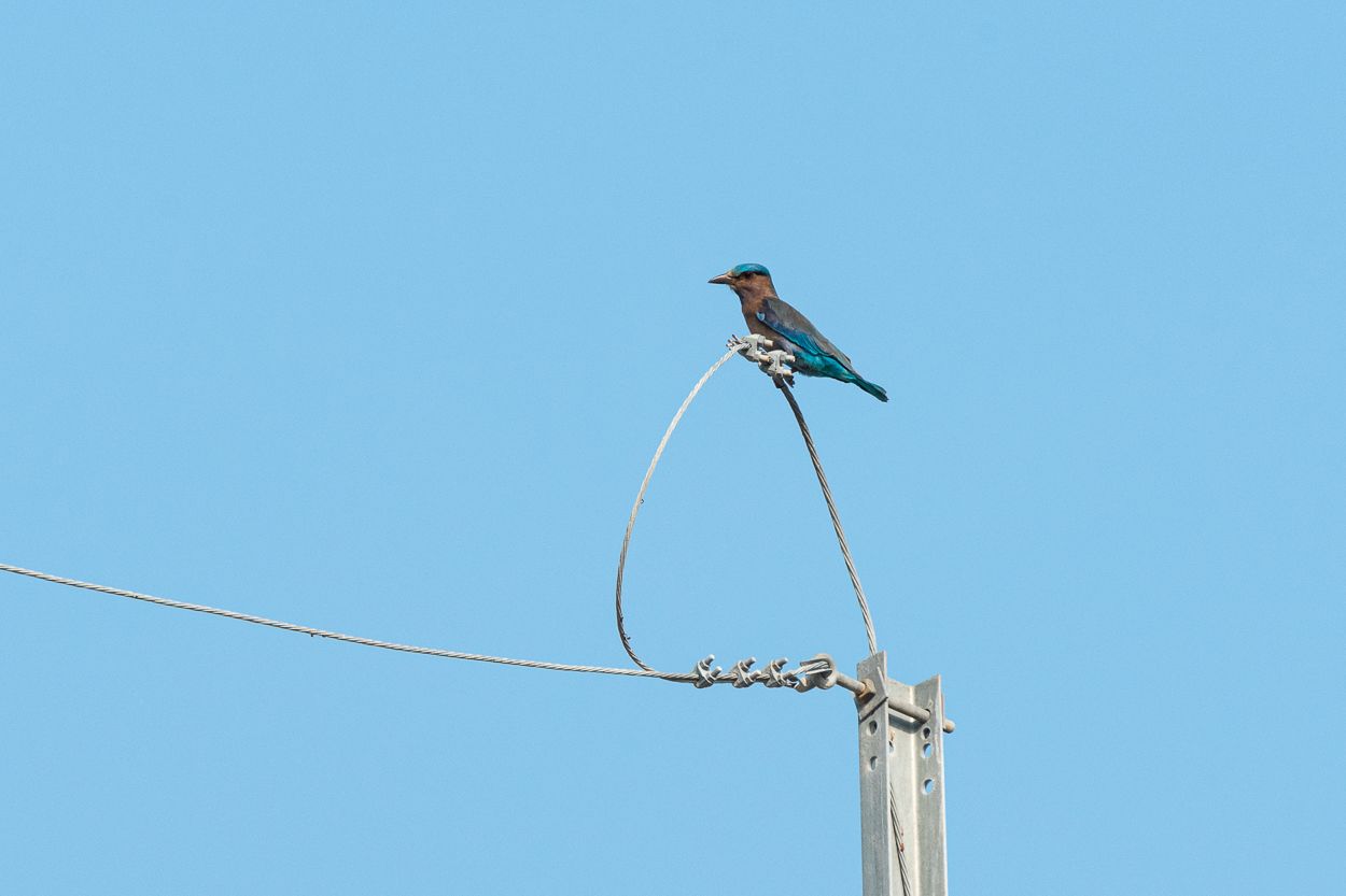 DSC_2559.JPG