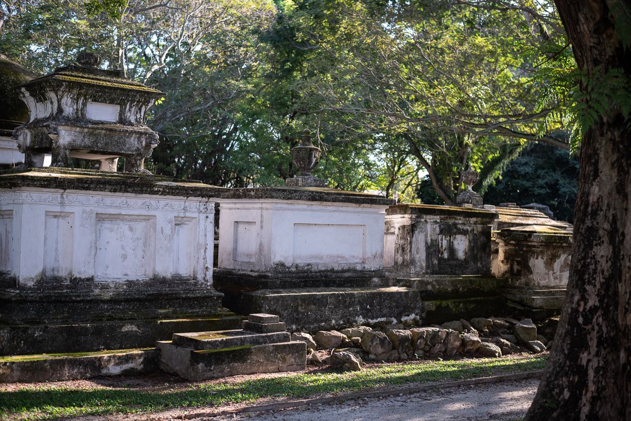 DSC_5010.JPG