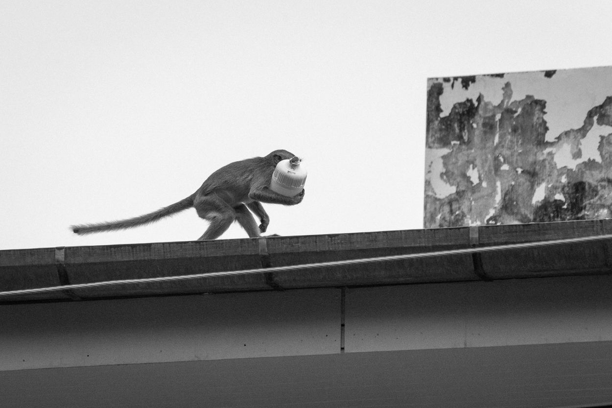 DSC_4076.JPG