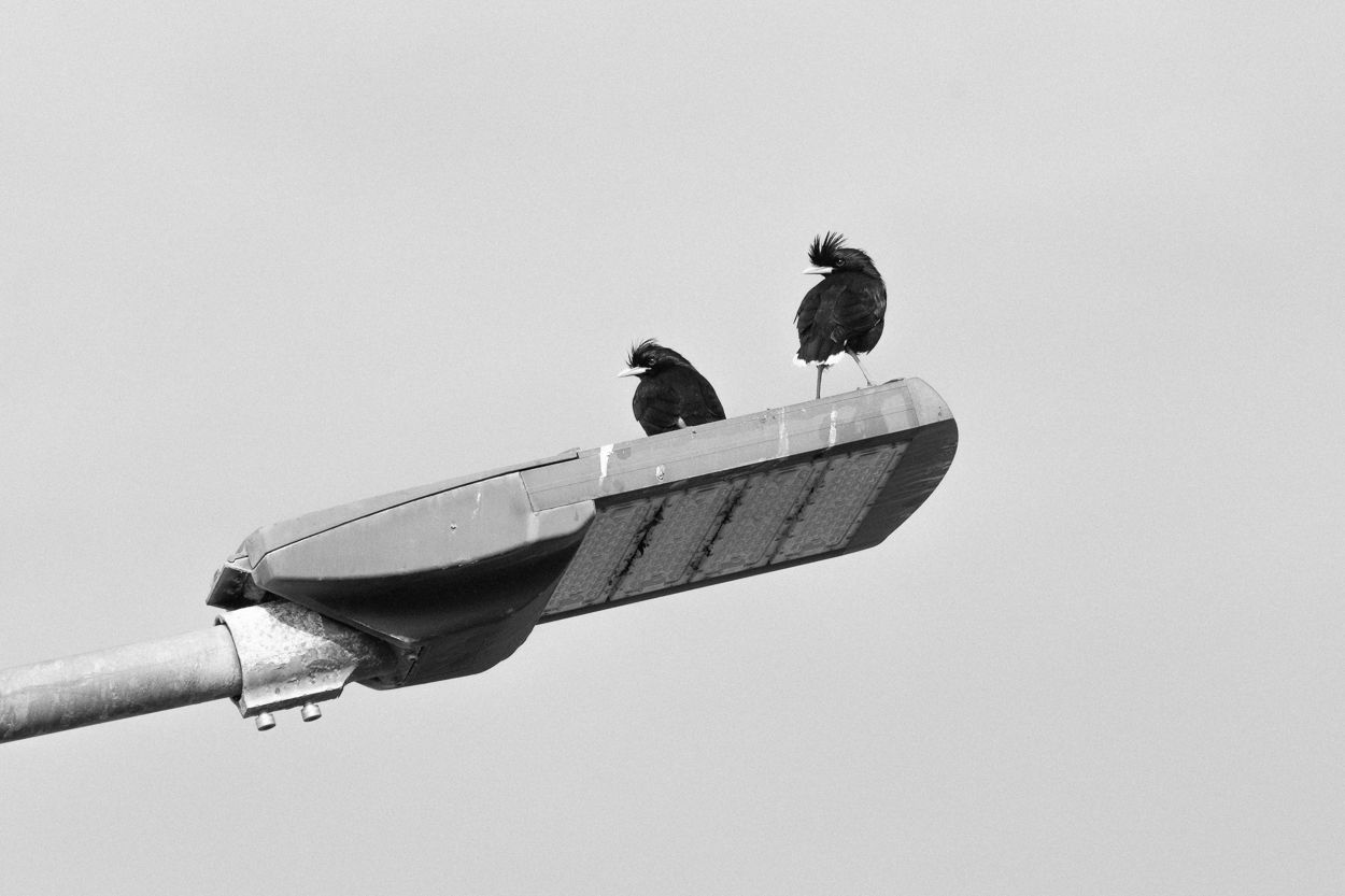 DSC_2567.JPG