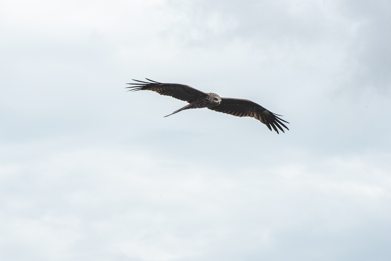 DSC_5839.JPG