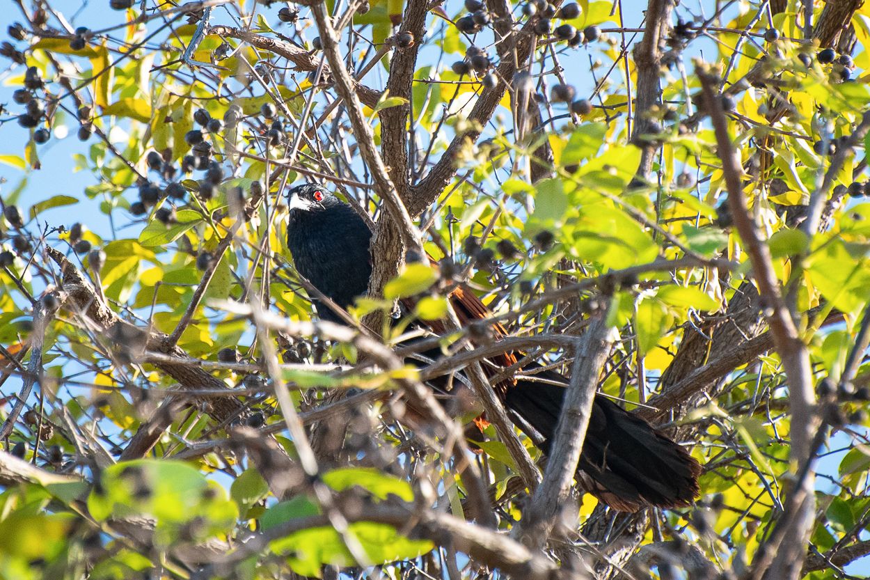 DSC_2063.JPG