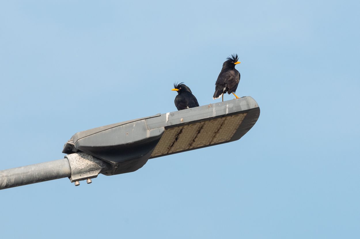DSC_2568.JPG