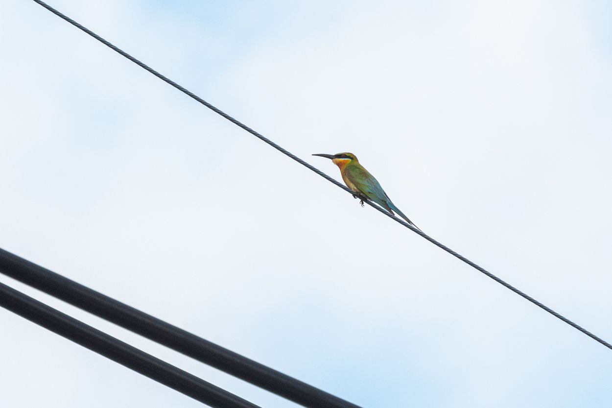 DSC_2763.JPG