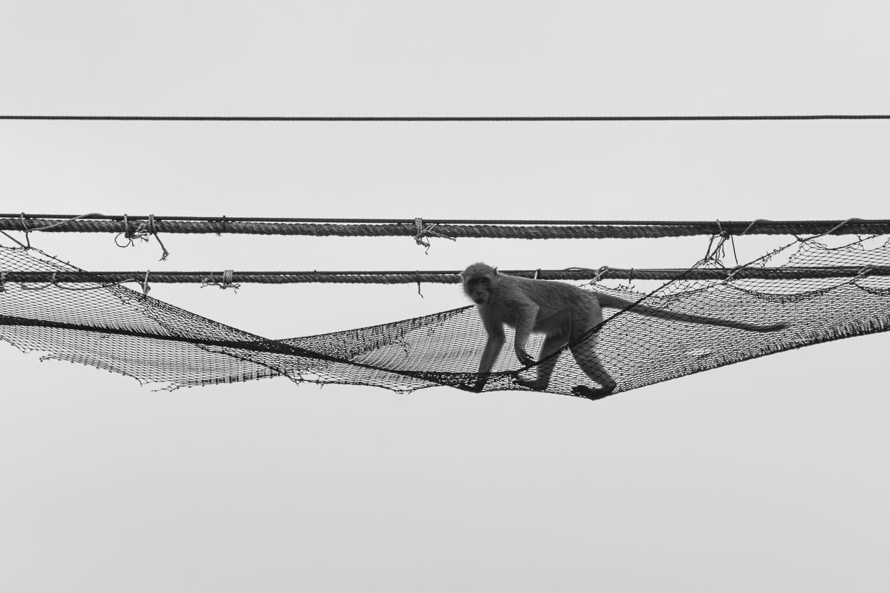 DSC_4205.JPG
