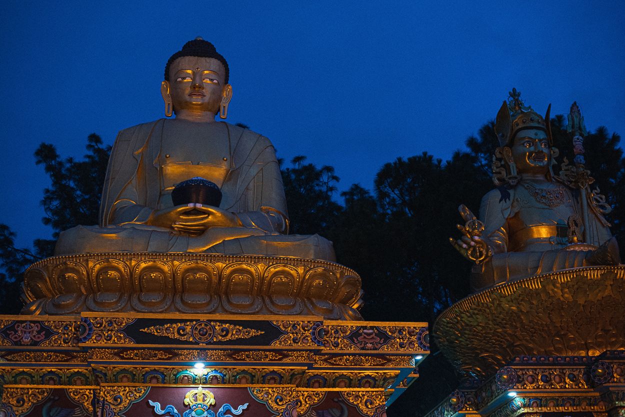 DSC_6882.JPG