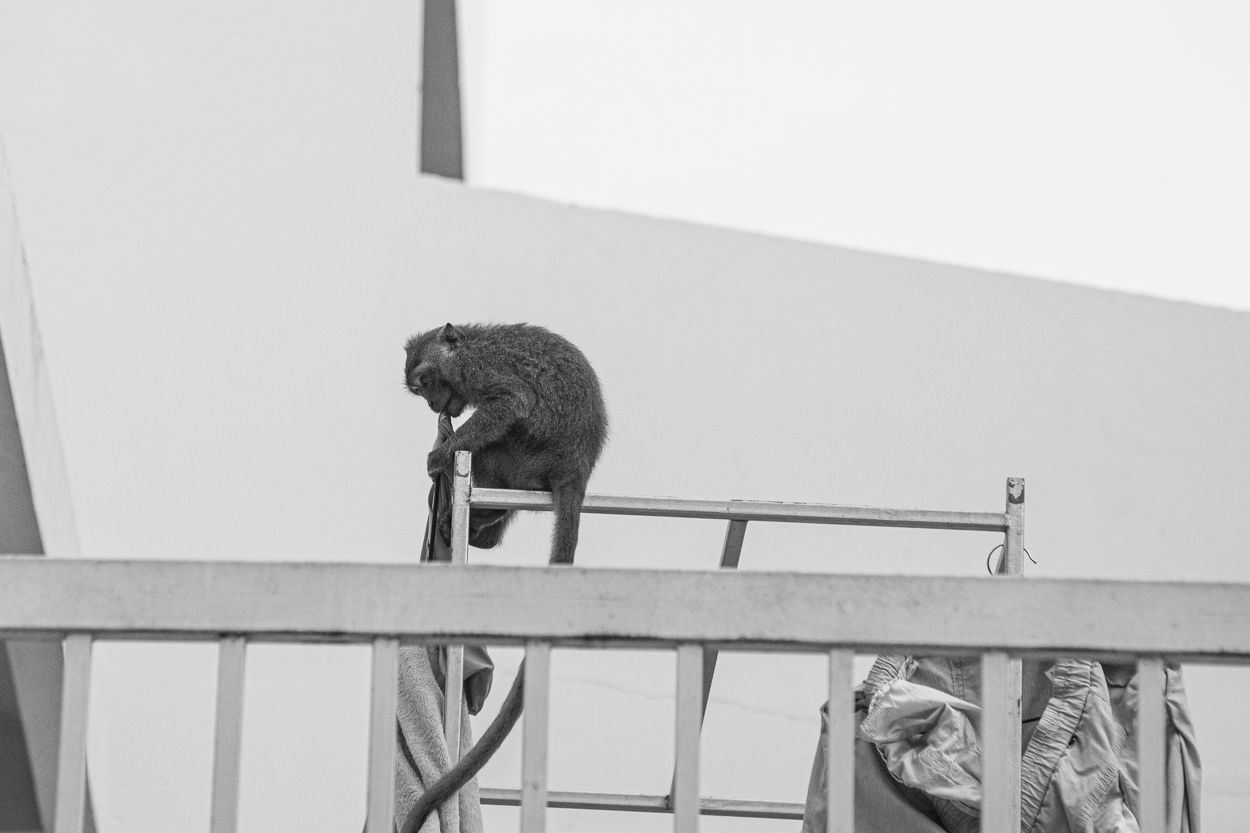 DSC_4127-3.JPG