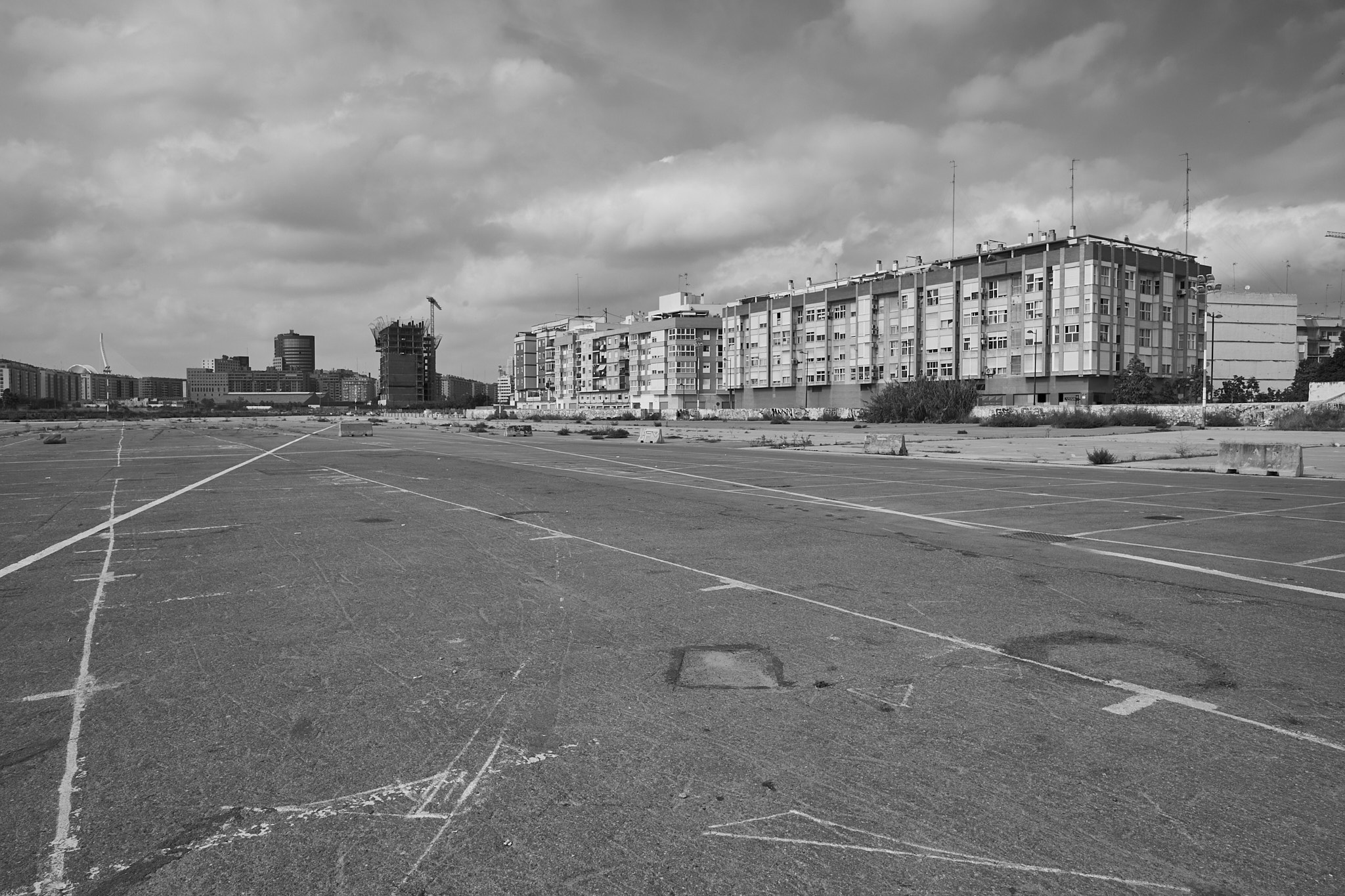 _DSF7857.jpg