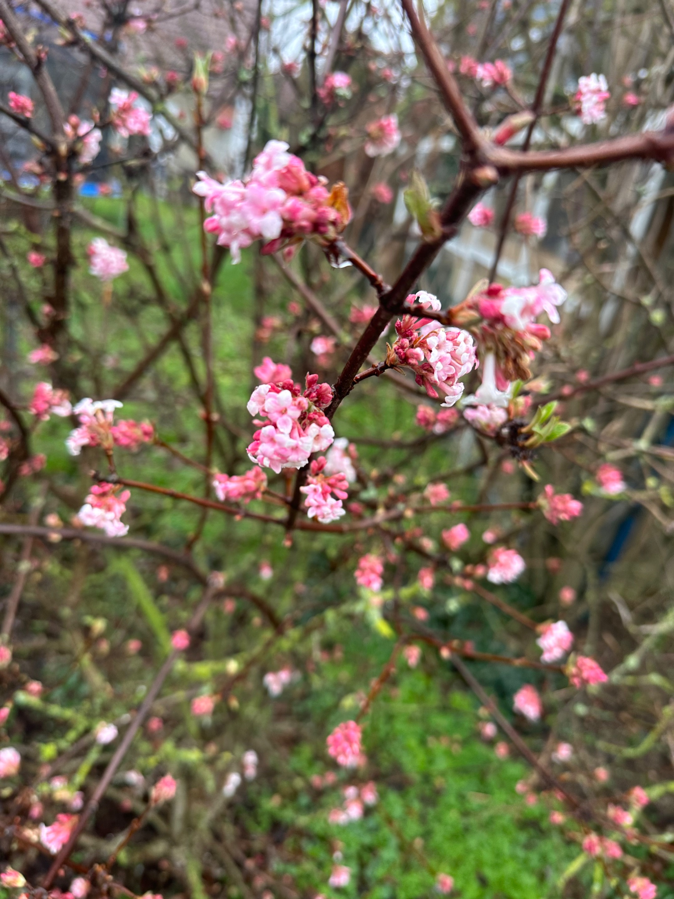 6550E02C-E601-442A-8EC2-7D0773C208B6.jpeg