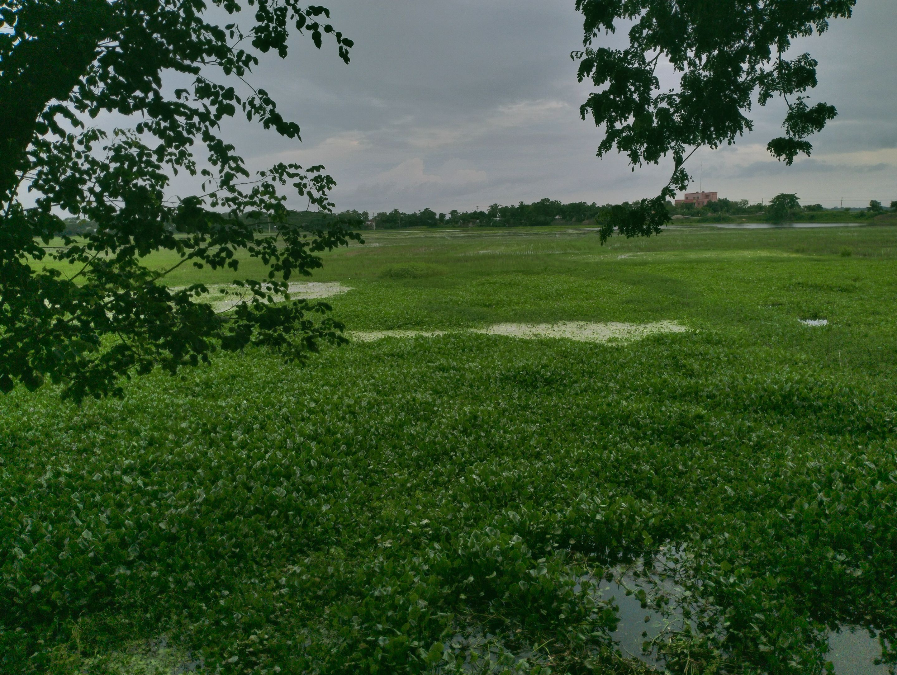 IMG_20250628_201500.jpg