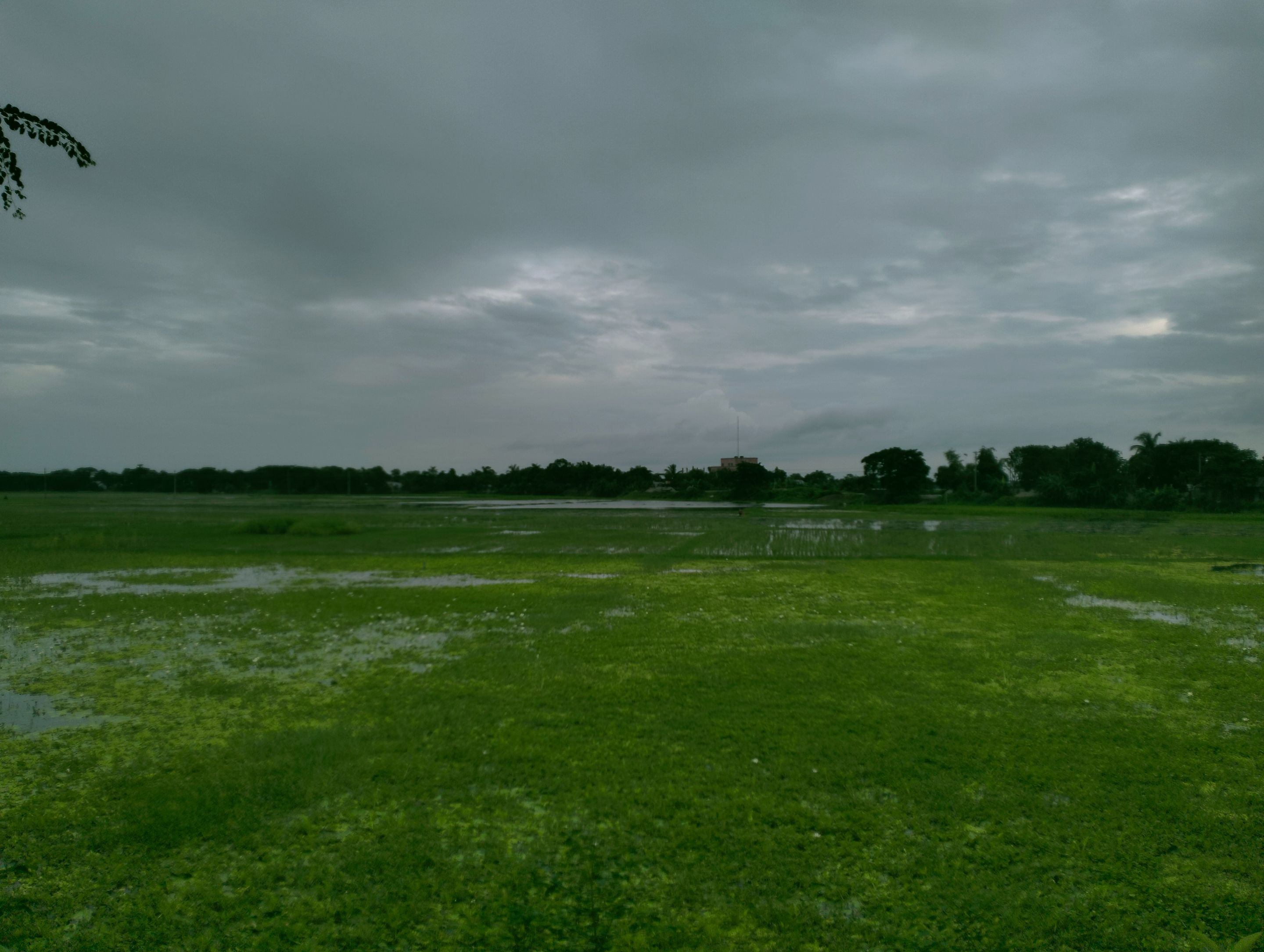 IMG_20250628_201337.jpg