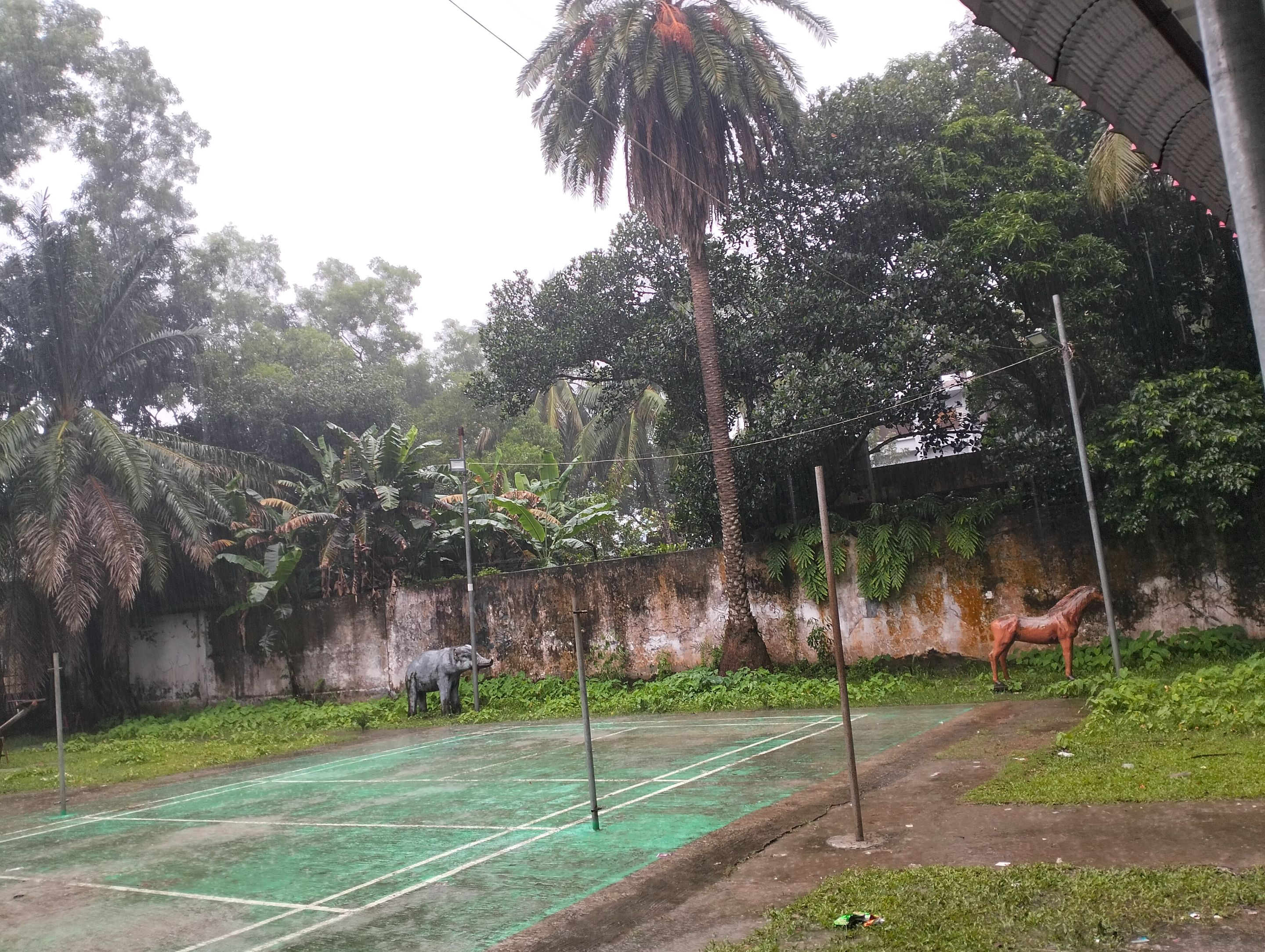 IMG20250731153023.jpg