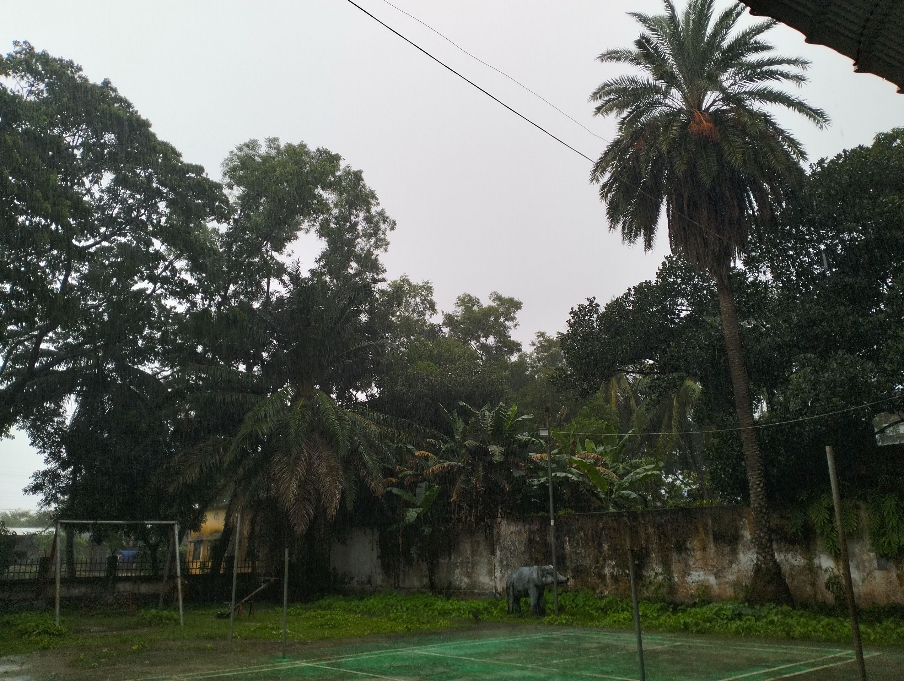 IMG20250731153021.jpg