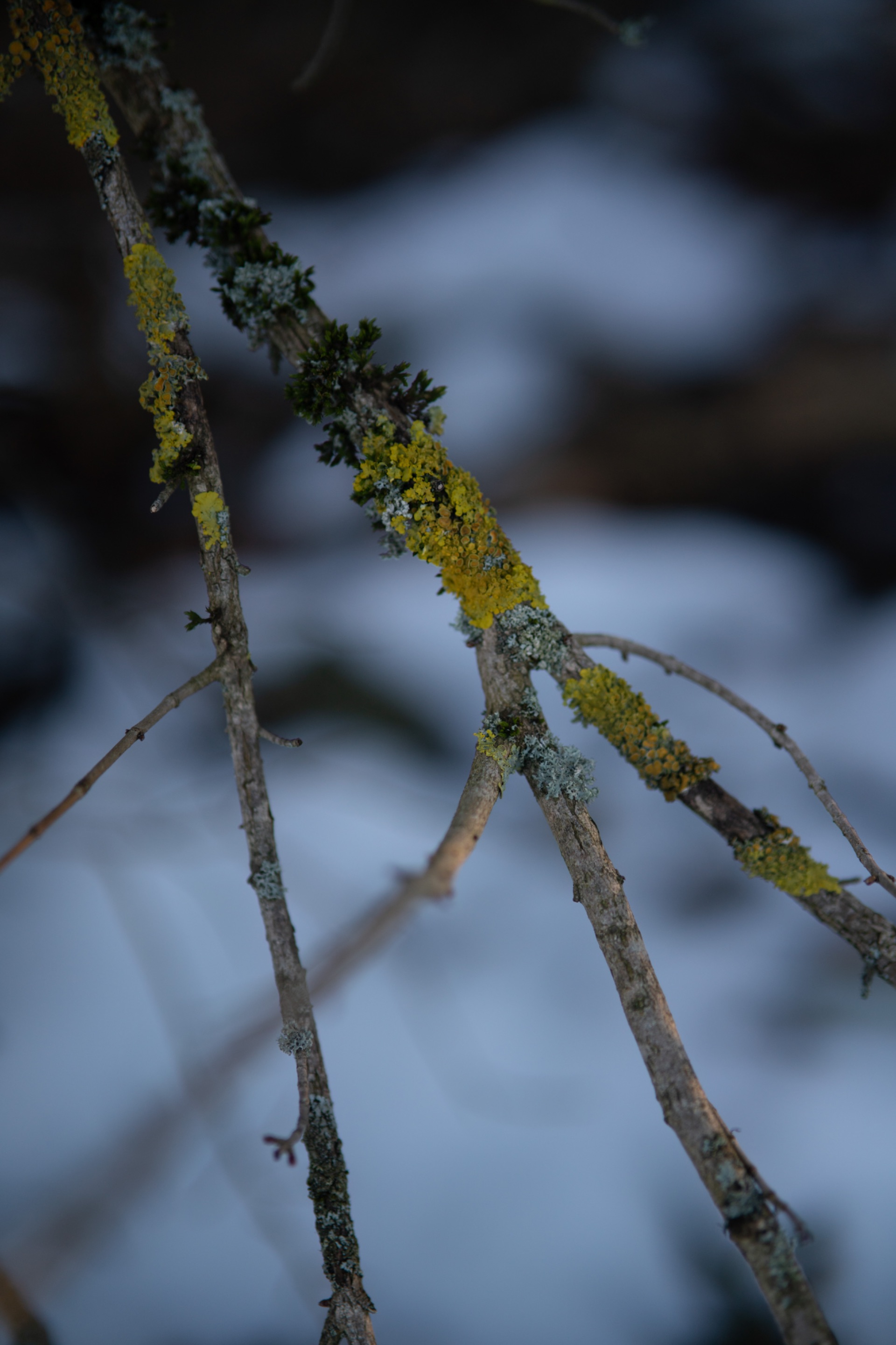 DSC01663.jpg