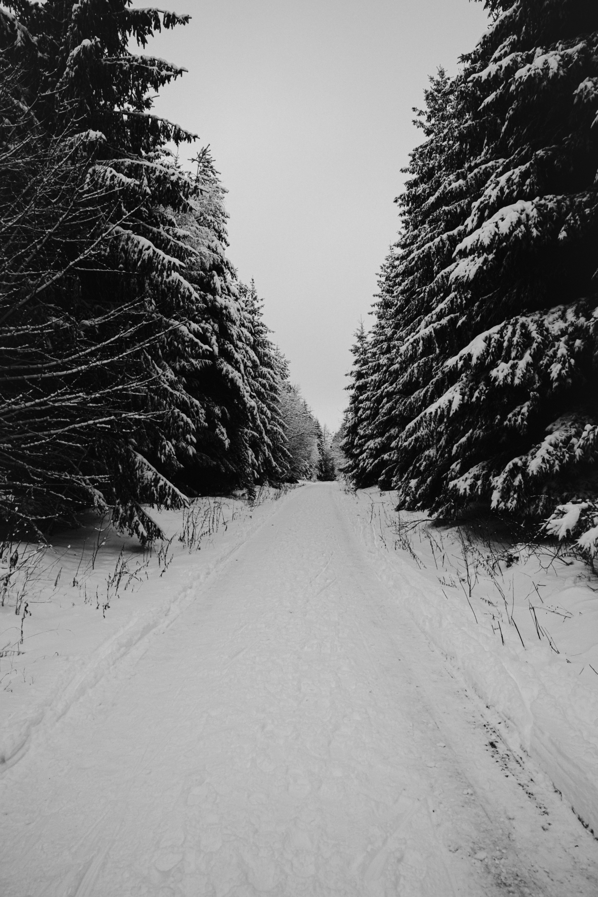 DSC09014.jpg