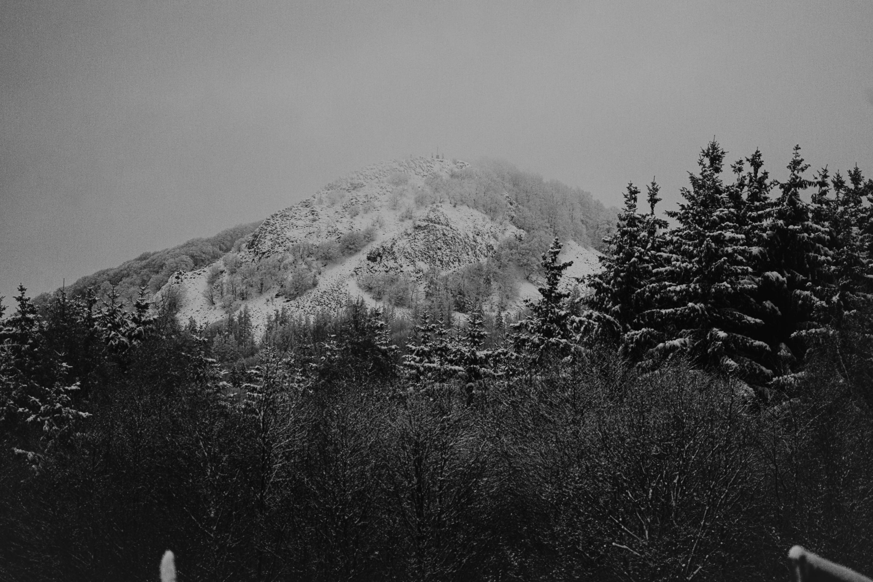 DSC09439.jpg