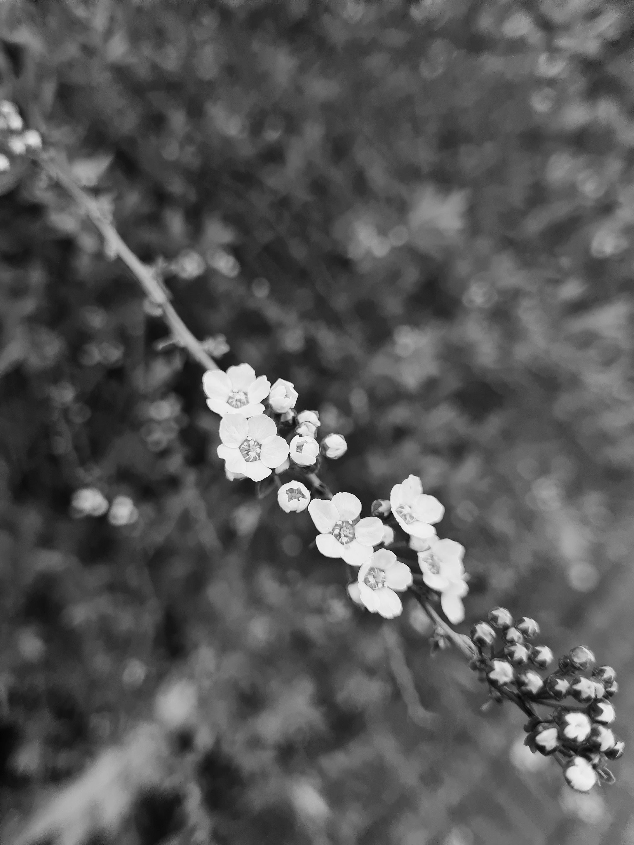 20210430_140641.jpg