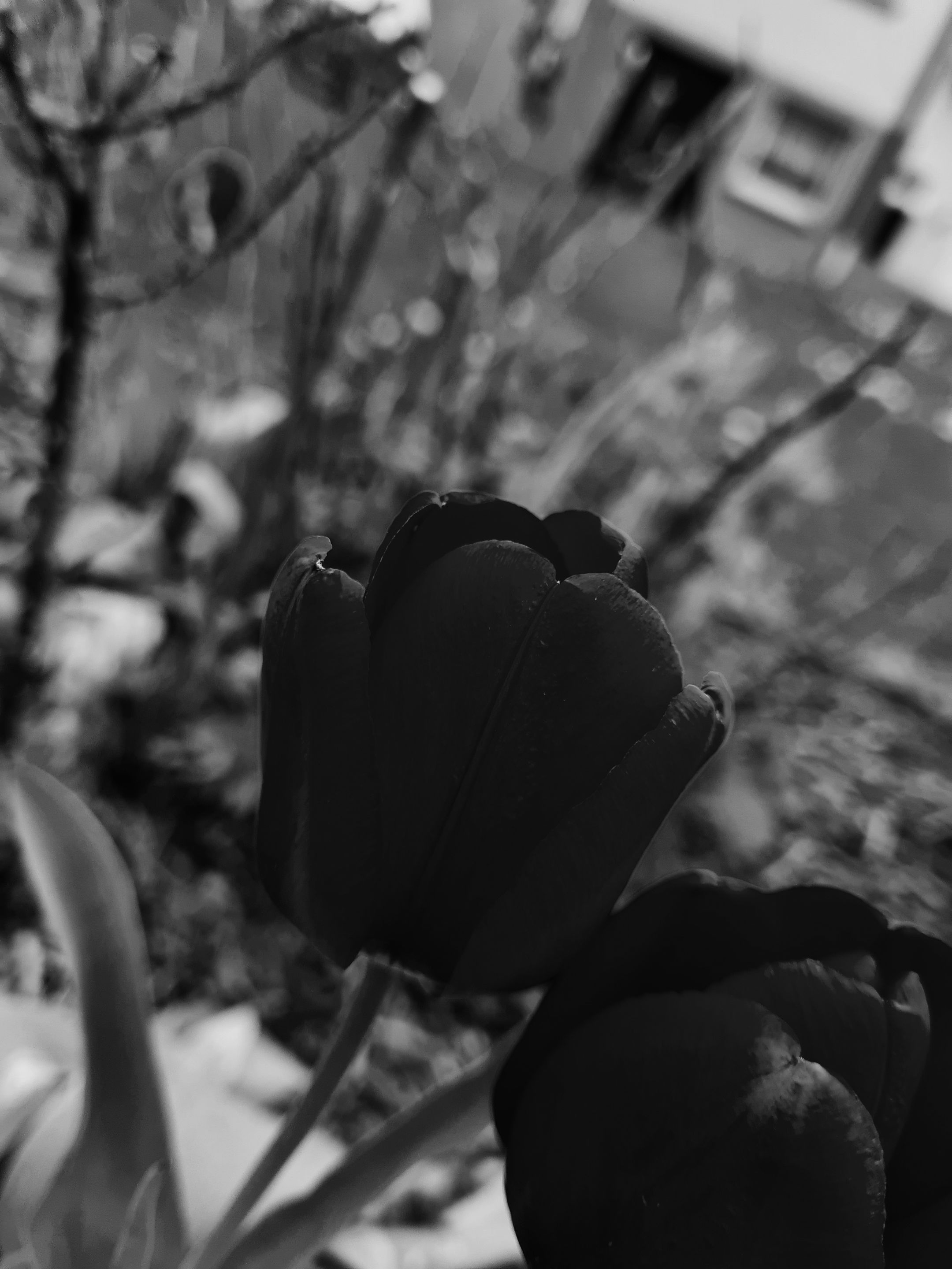 20210430_144105.jpg