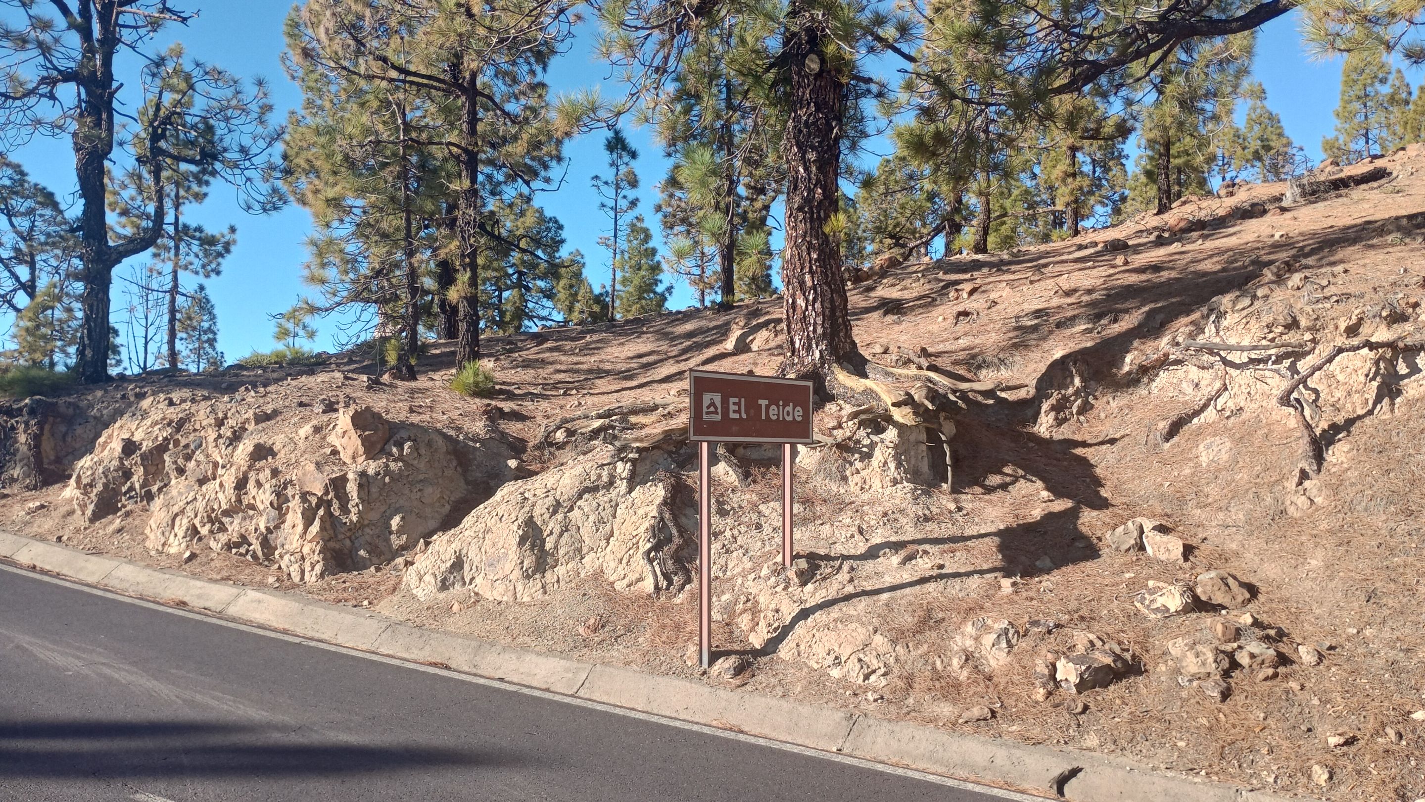 IMG_20231208_160449363_HDR.jpg