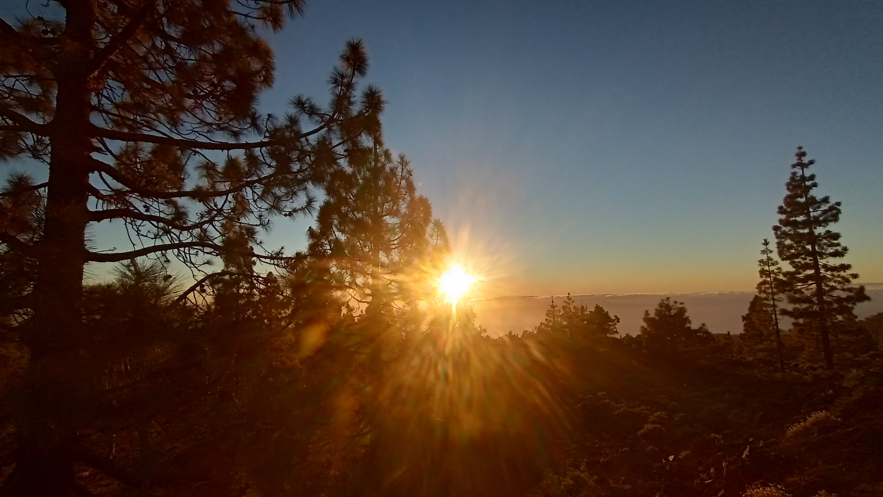IMG_20231208_180147878_HDR.jpg