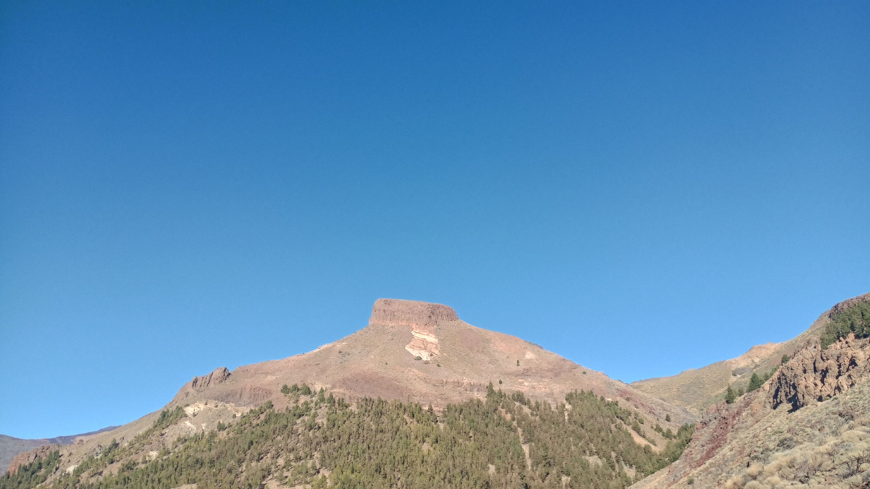 IMG_20231208_161308903_HDR.jpg