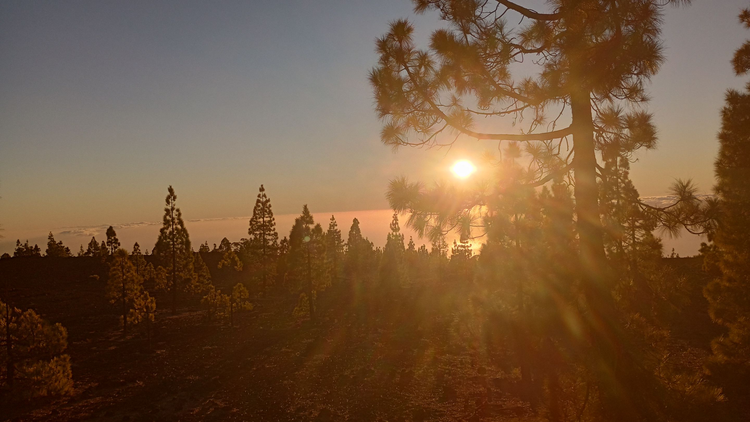 IMG_20231208_175516603_HDR.jpg
