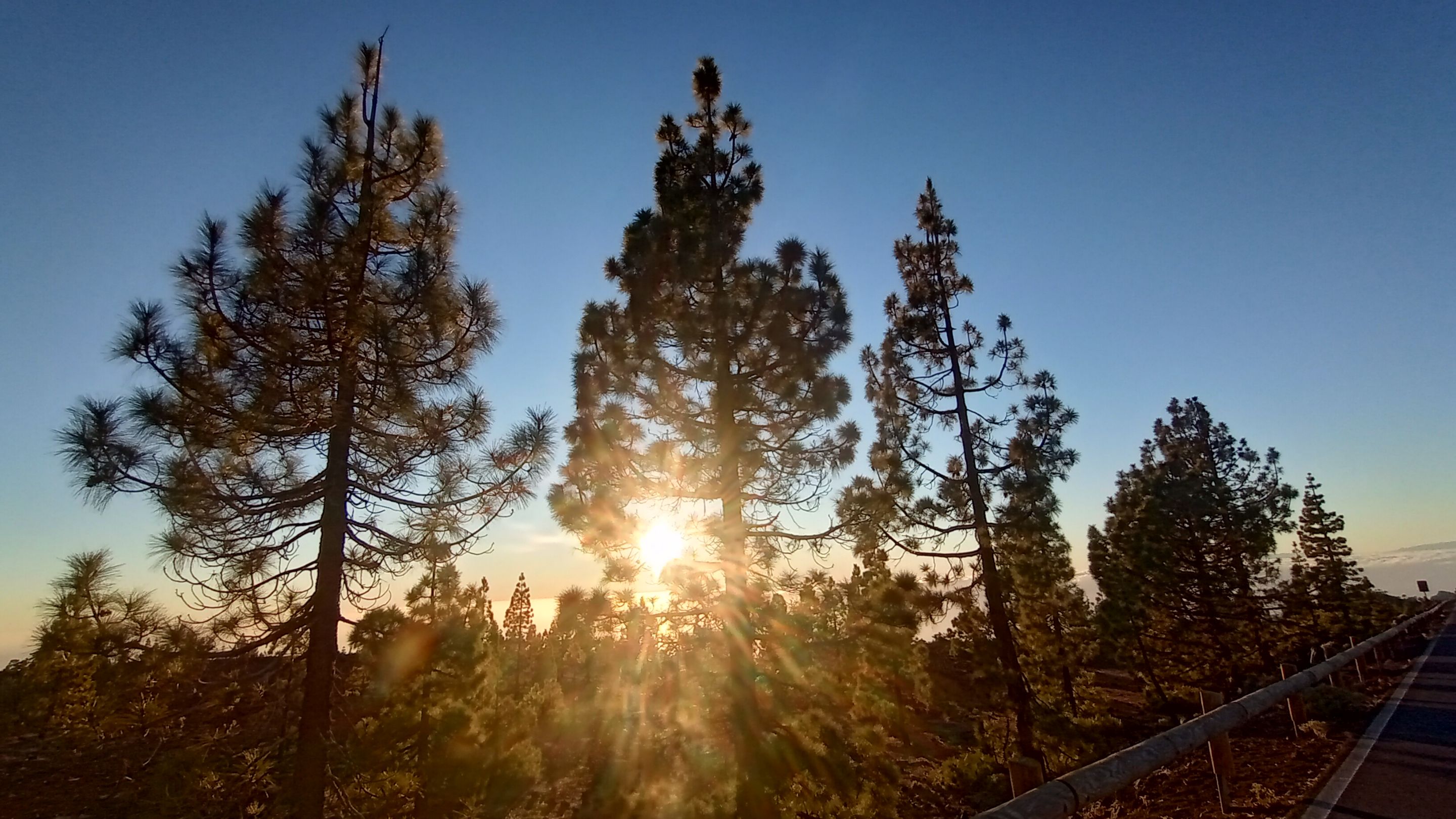 IMG_20231208_175245472_HDR.jpg