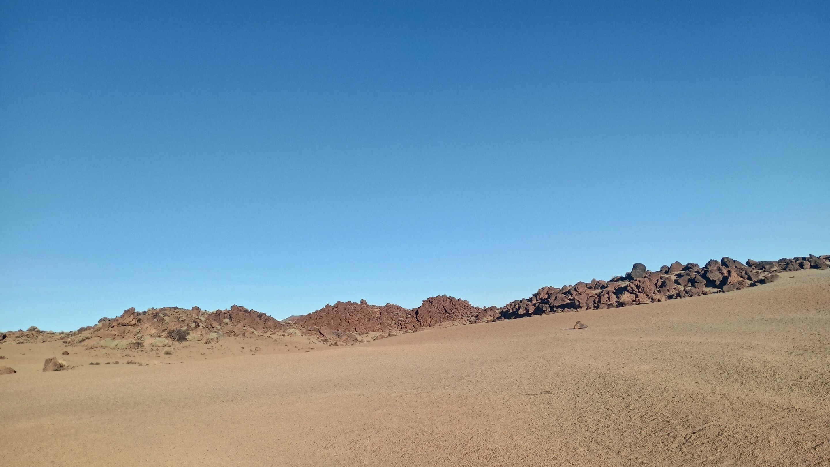IMG_20231208_170132615_HDR.jpg