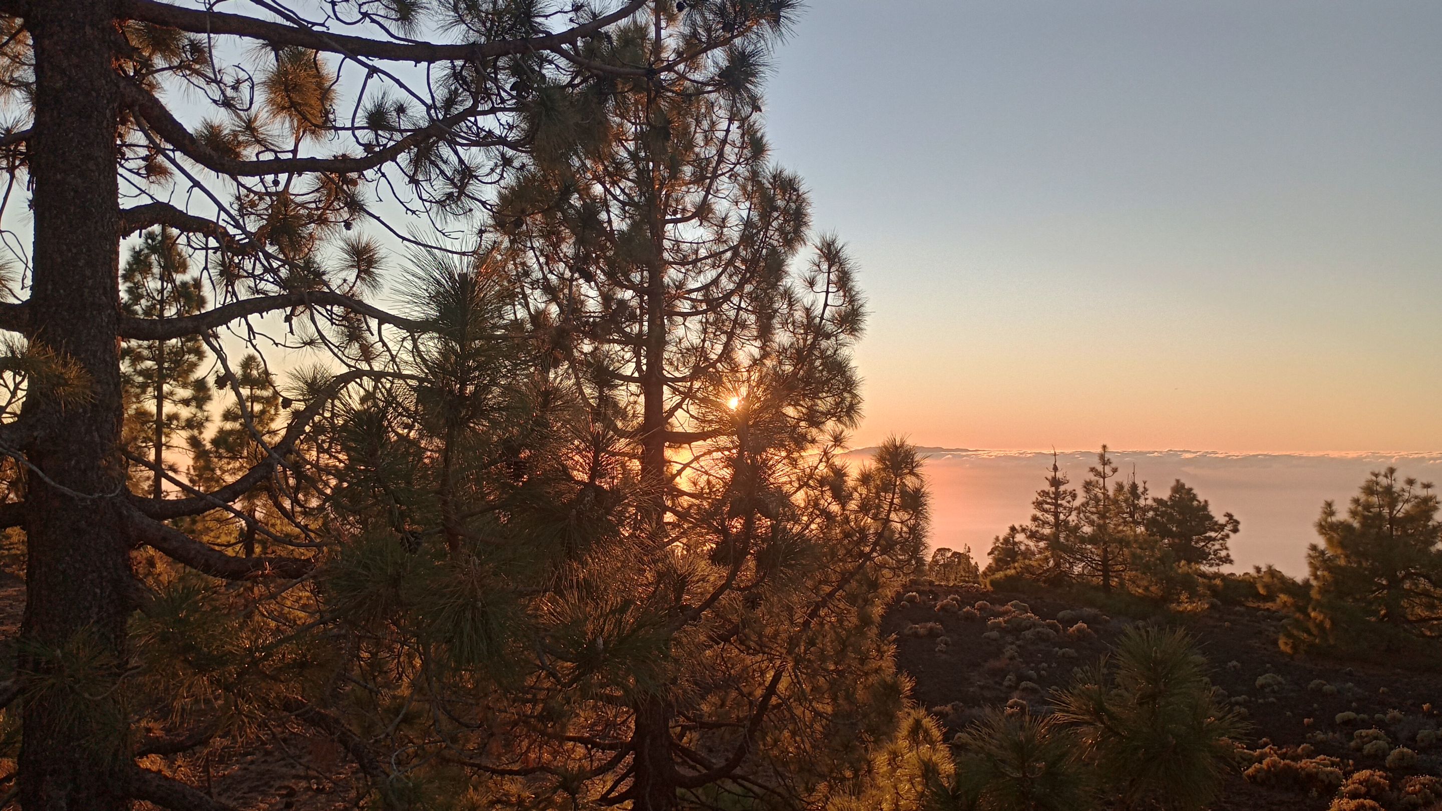 IMG_20231208_180120159_HDR.jpg